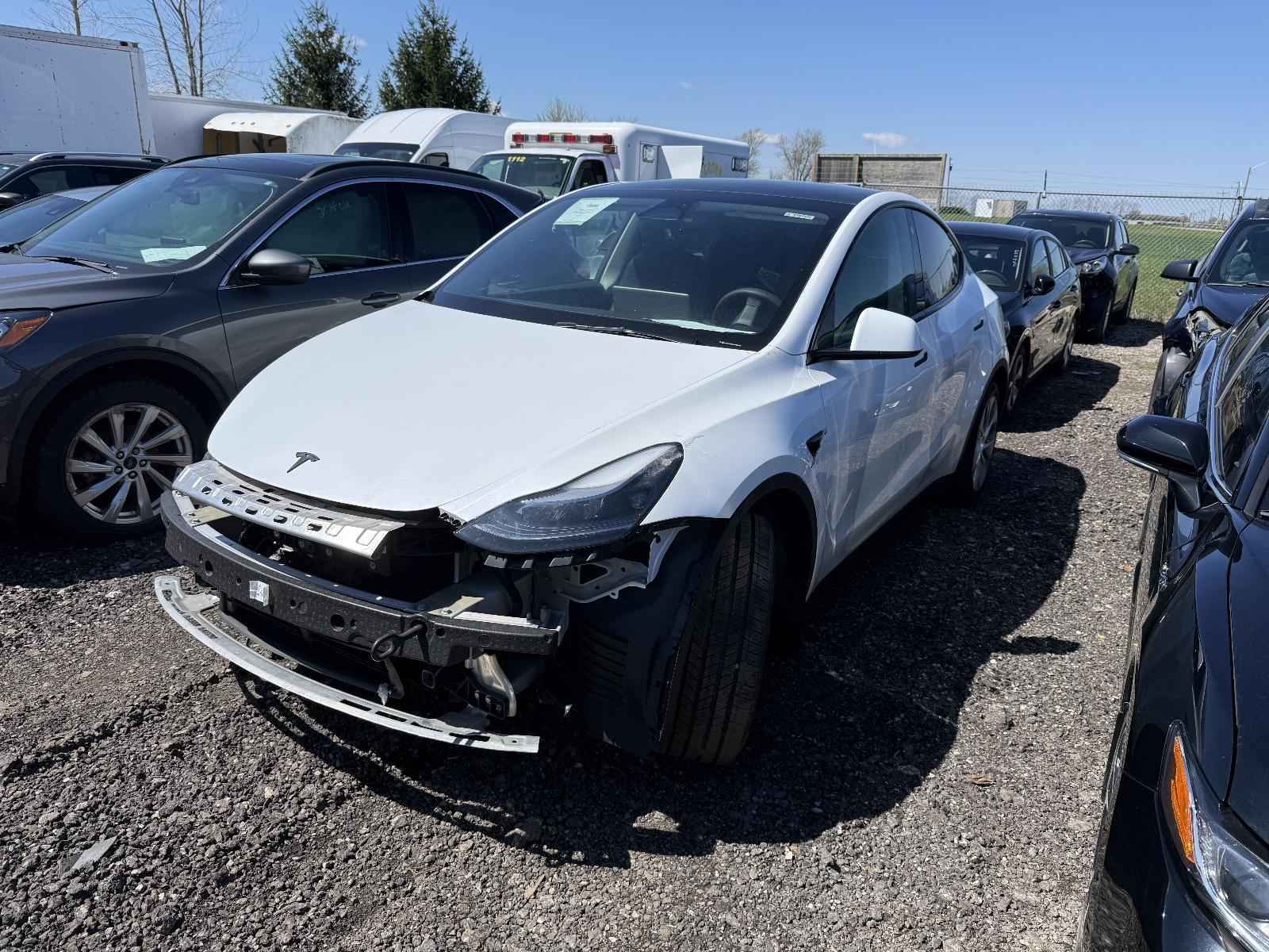 2023 Tesla Tesla Y