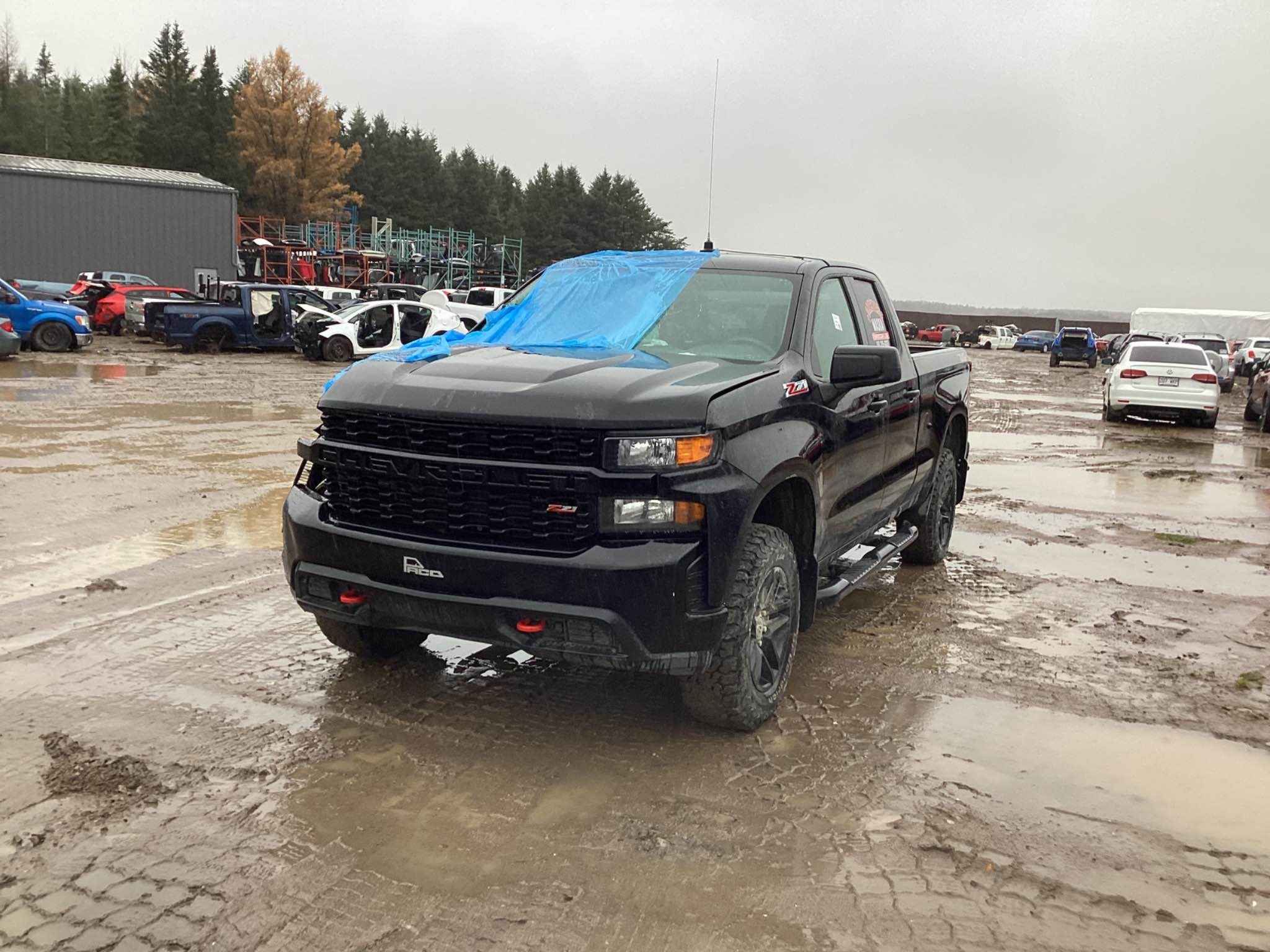 2019 GM Pickup (Chev.)