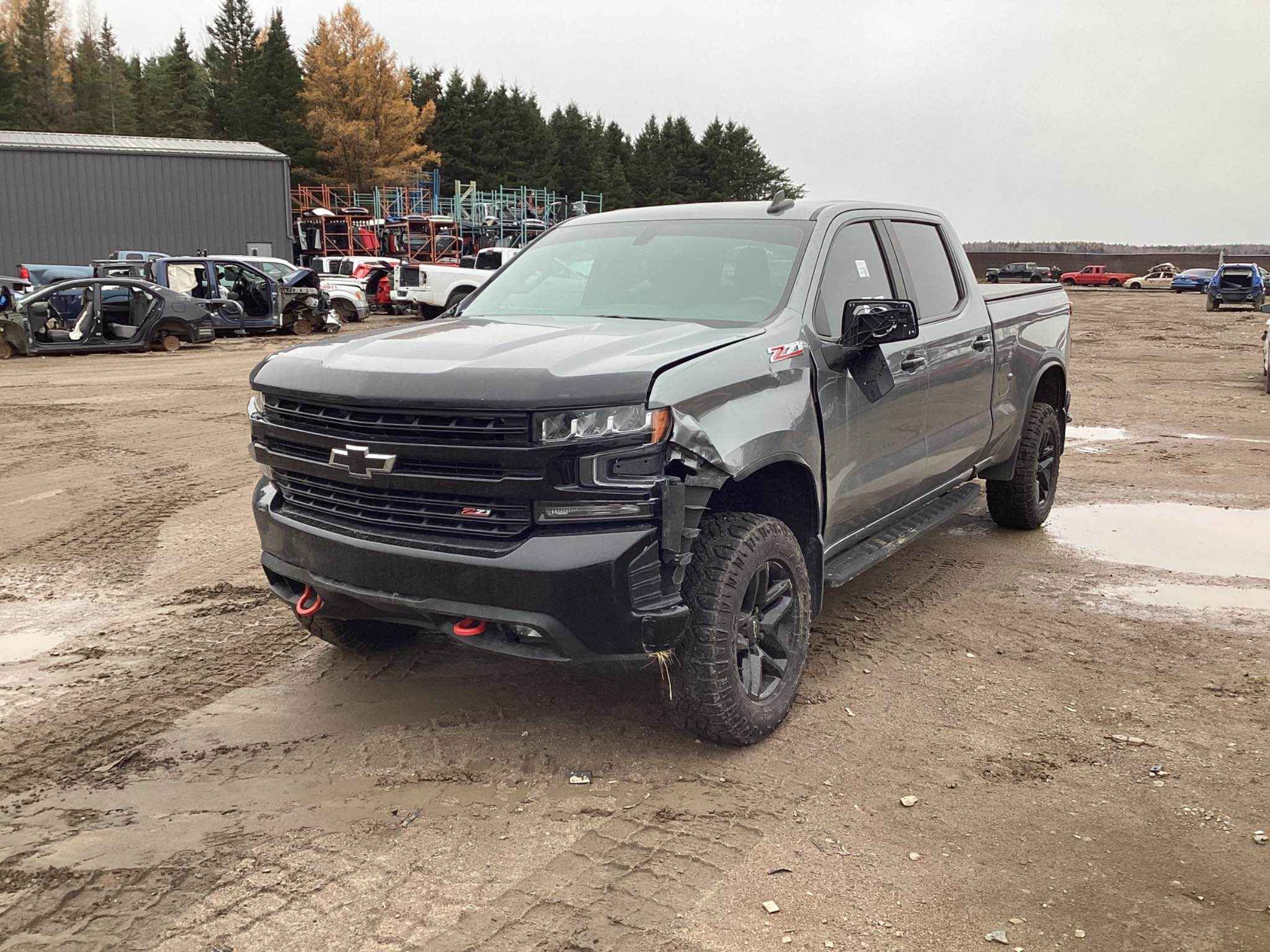 2020 GM Pickup (Chev.)