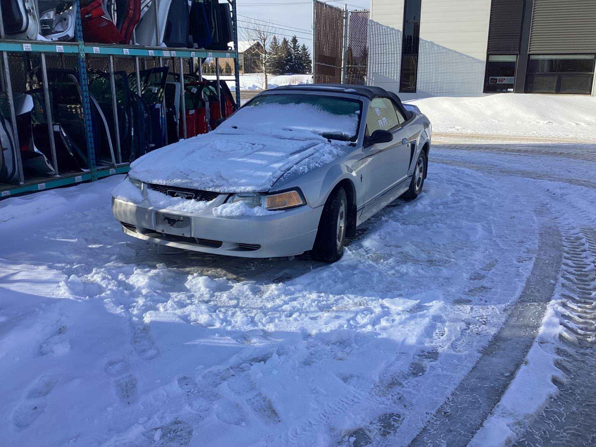 2000 Ford Mustang