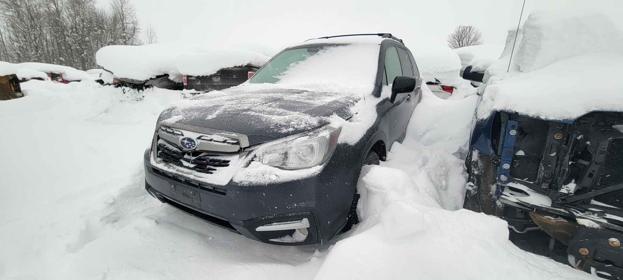 2018 Subaru Forester