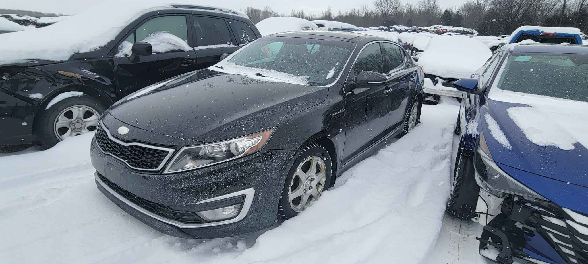 2013 Kia Optima (Kia)