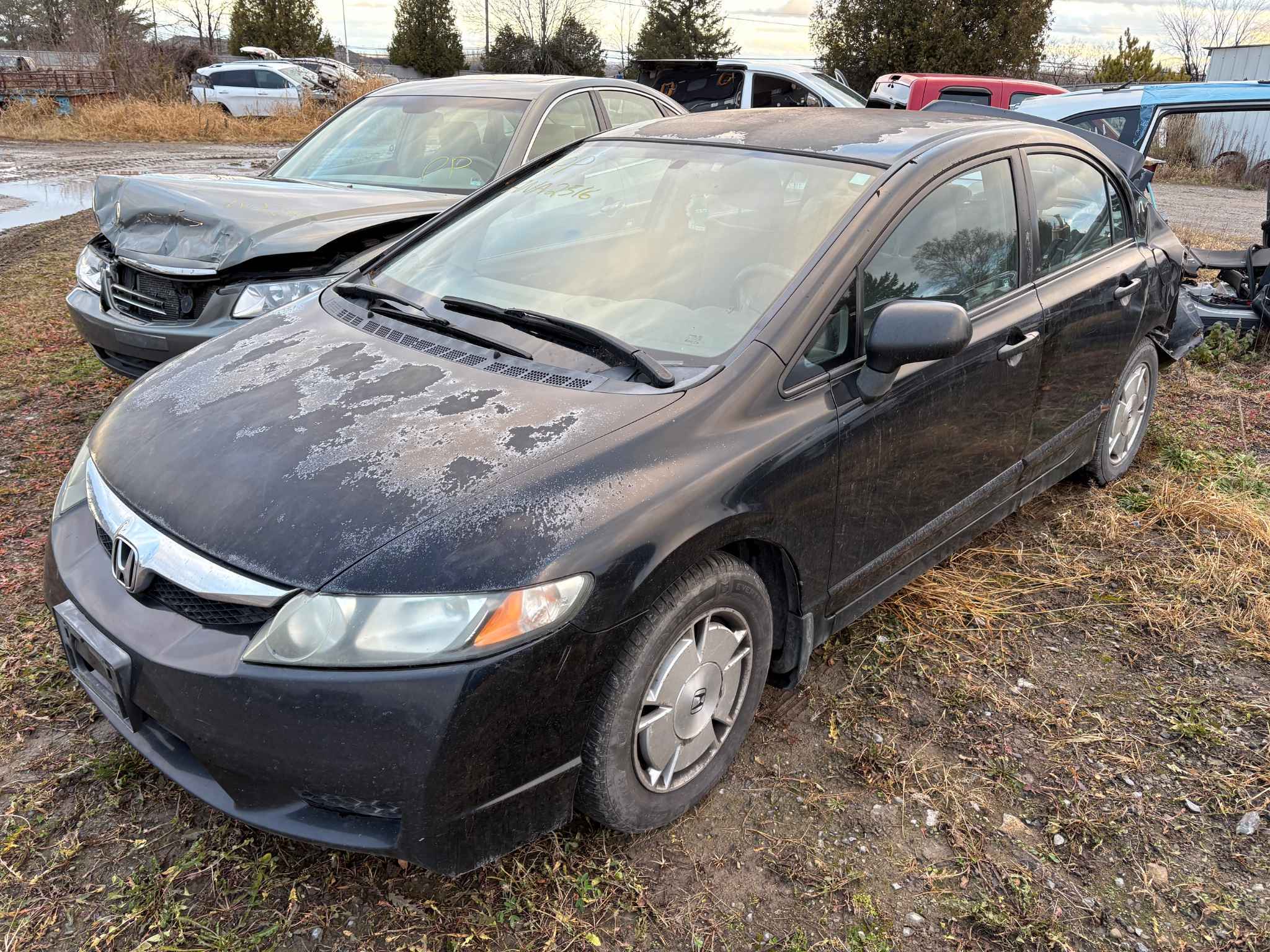 2010 Honda Civic