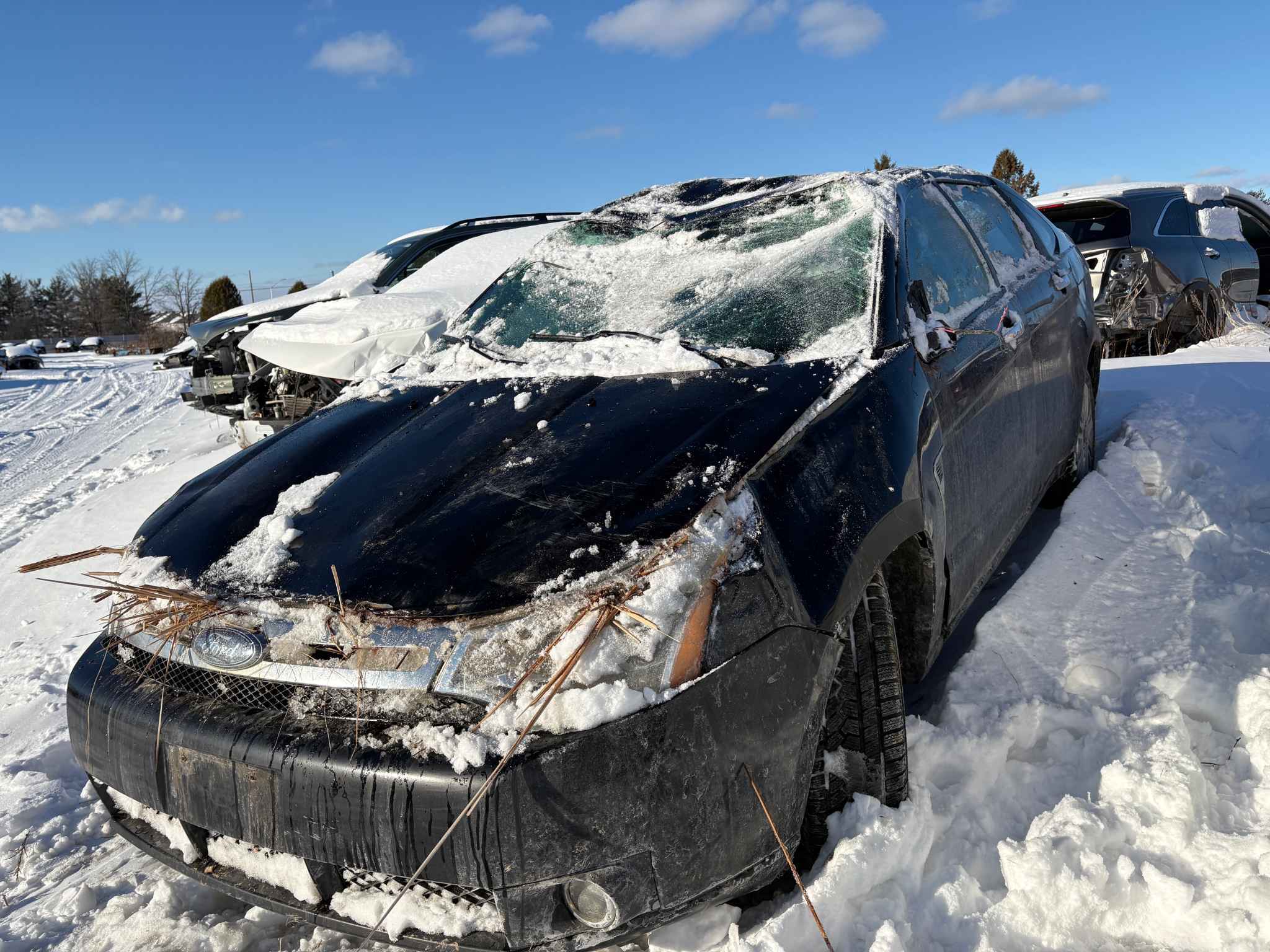 2008 Ford Focus