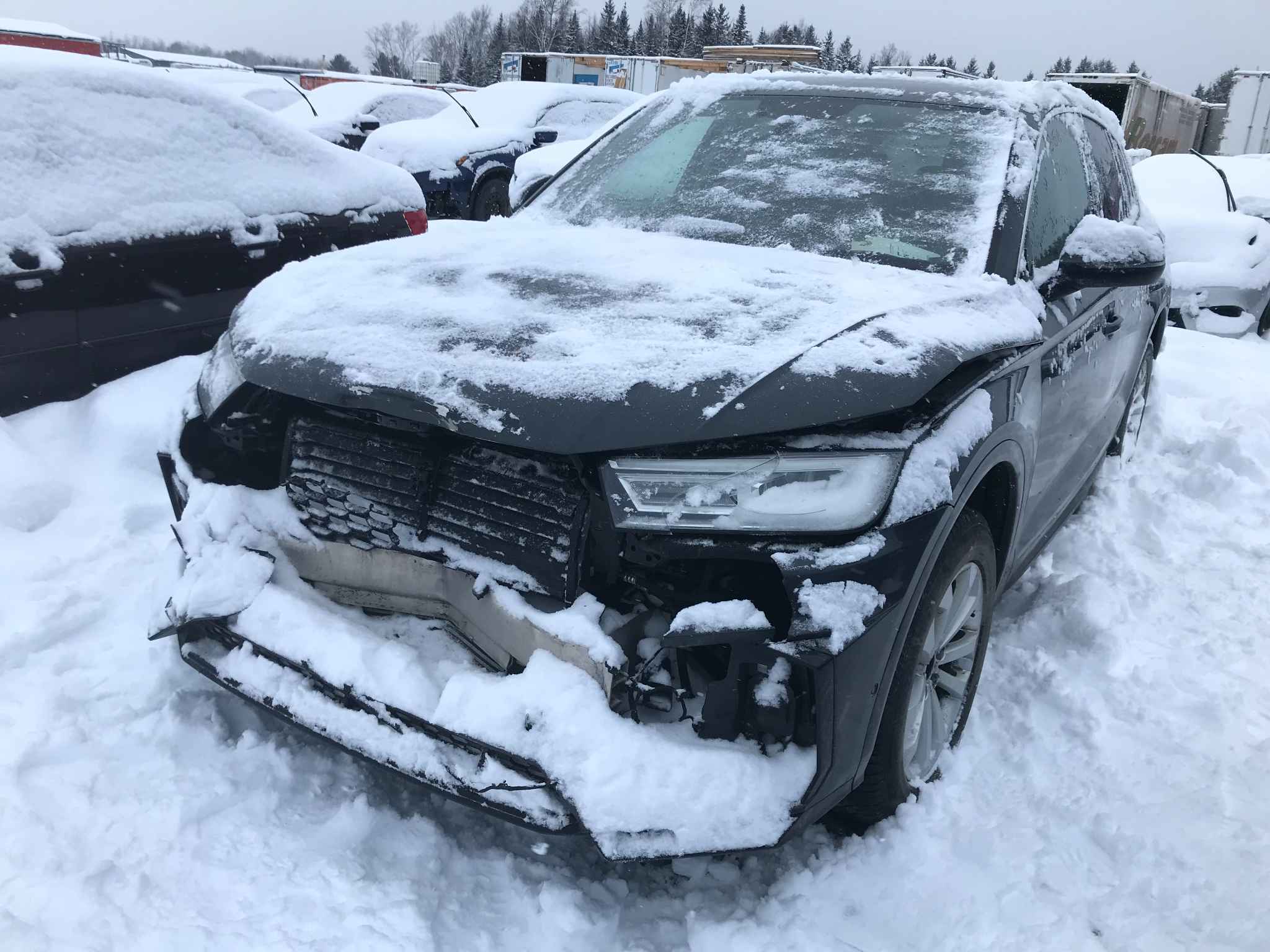 2019 Audi Q5