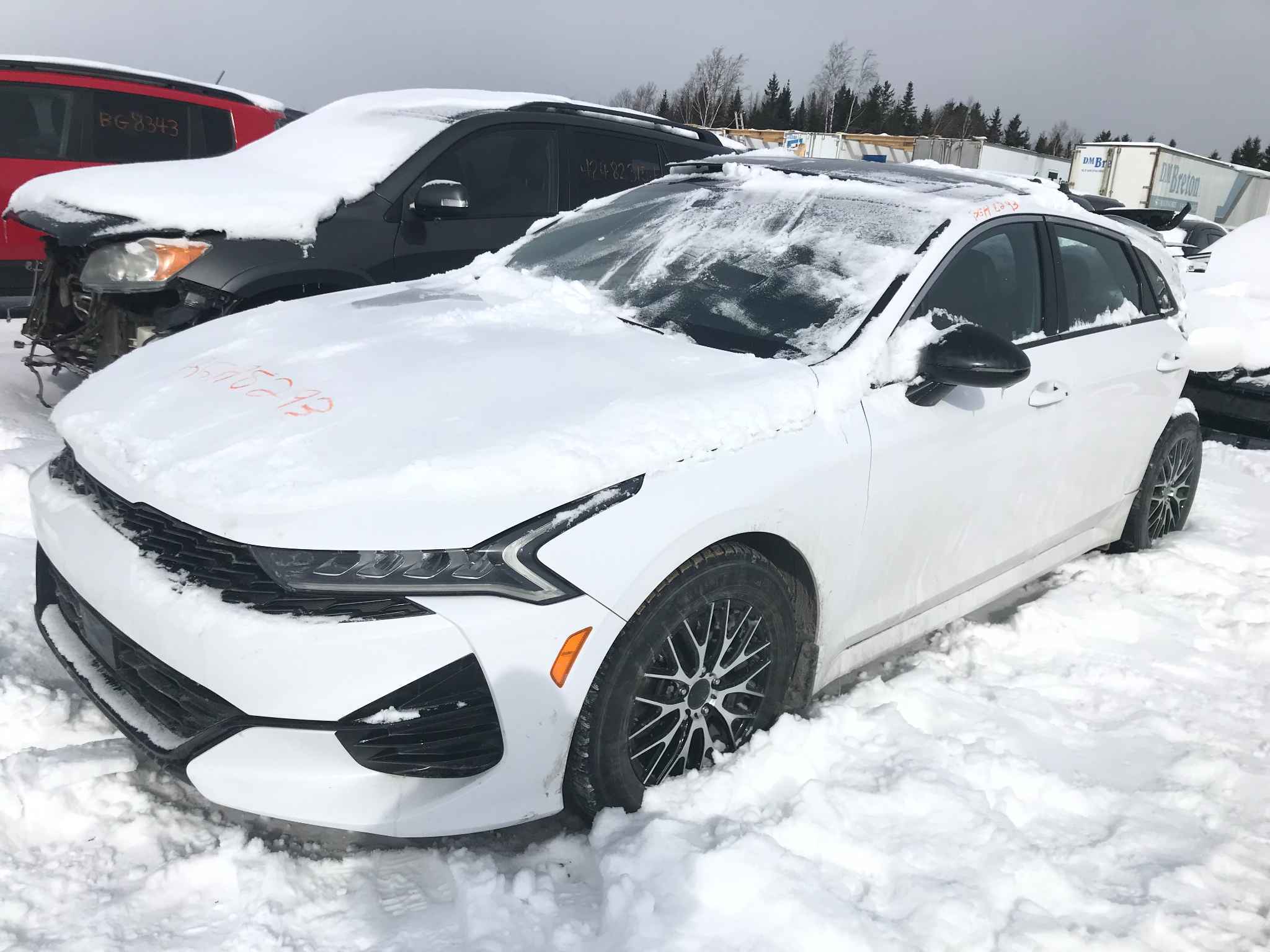 2022 Kia K5