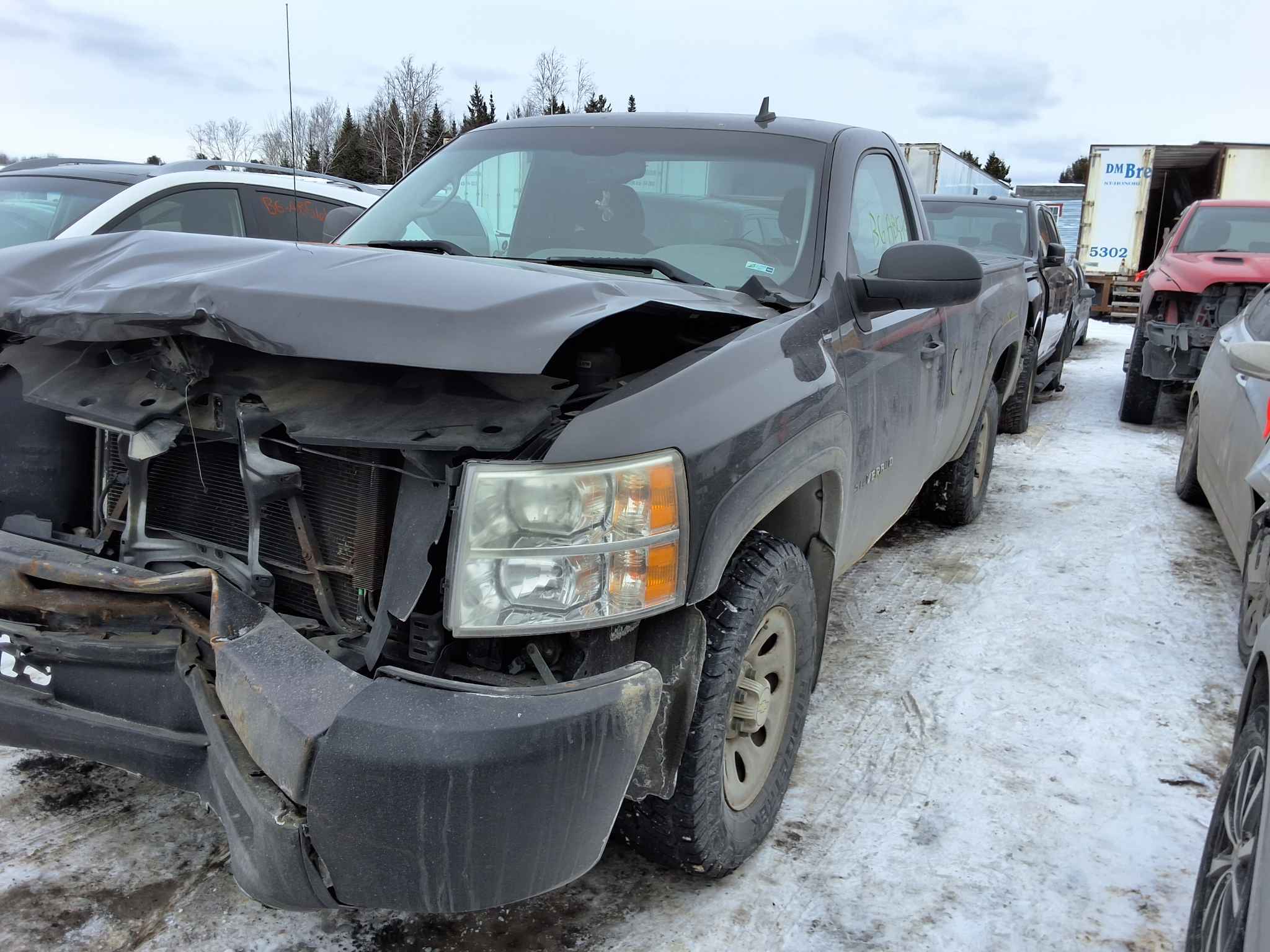 2010 GM Pickup (Chev.)