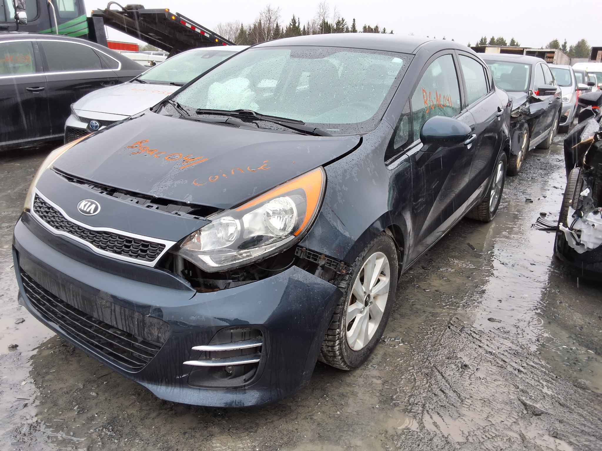 2017 Kia Rio