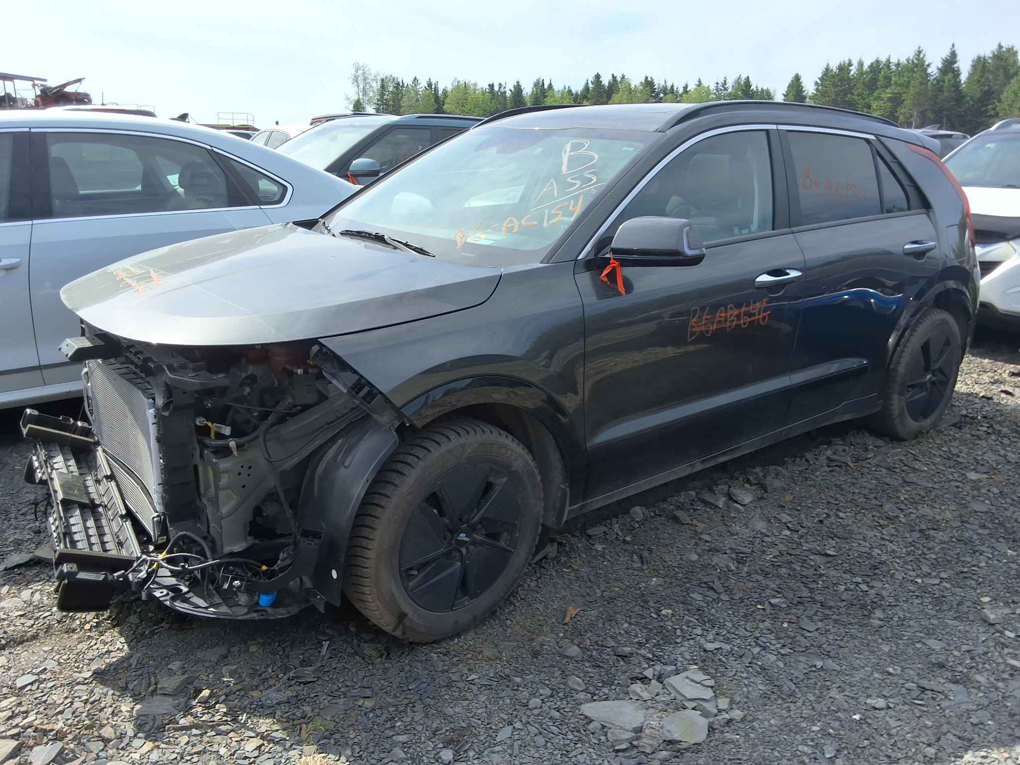 2025 Kia Niro