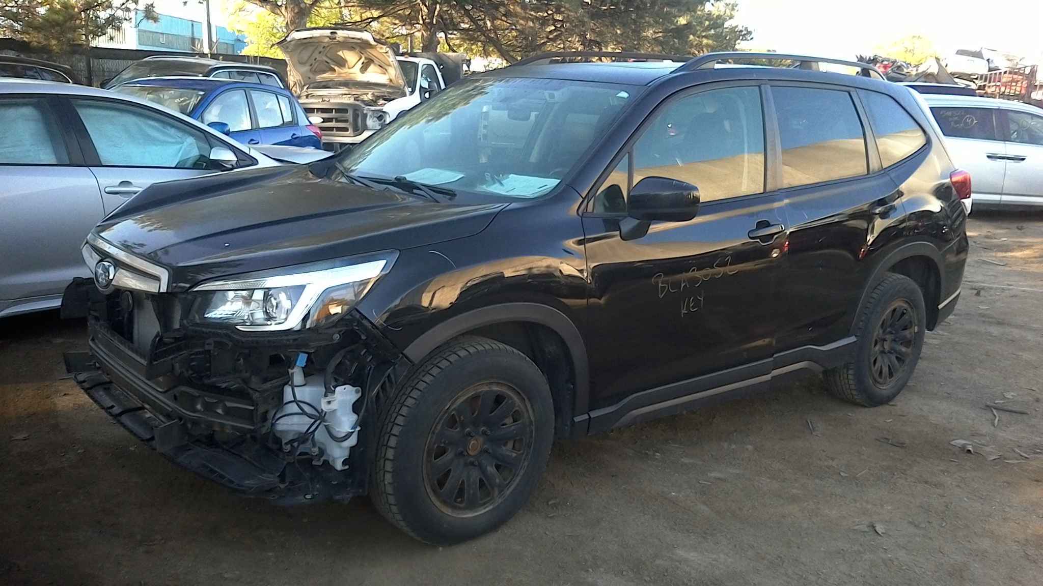 BMW