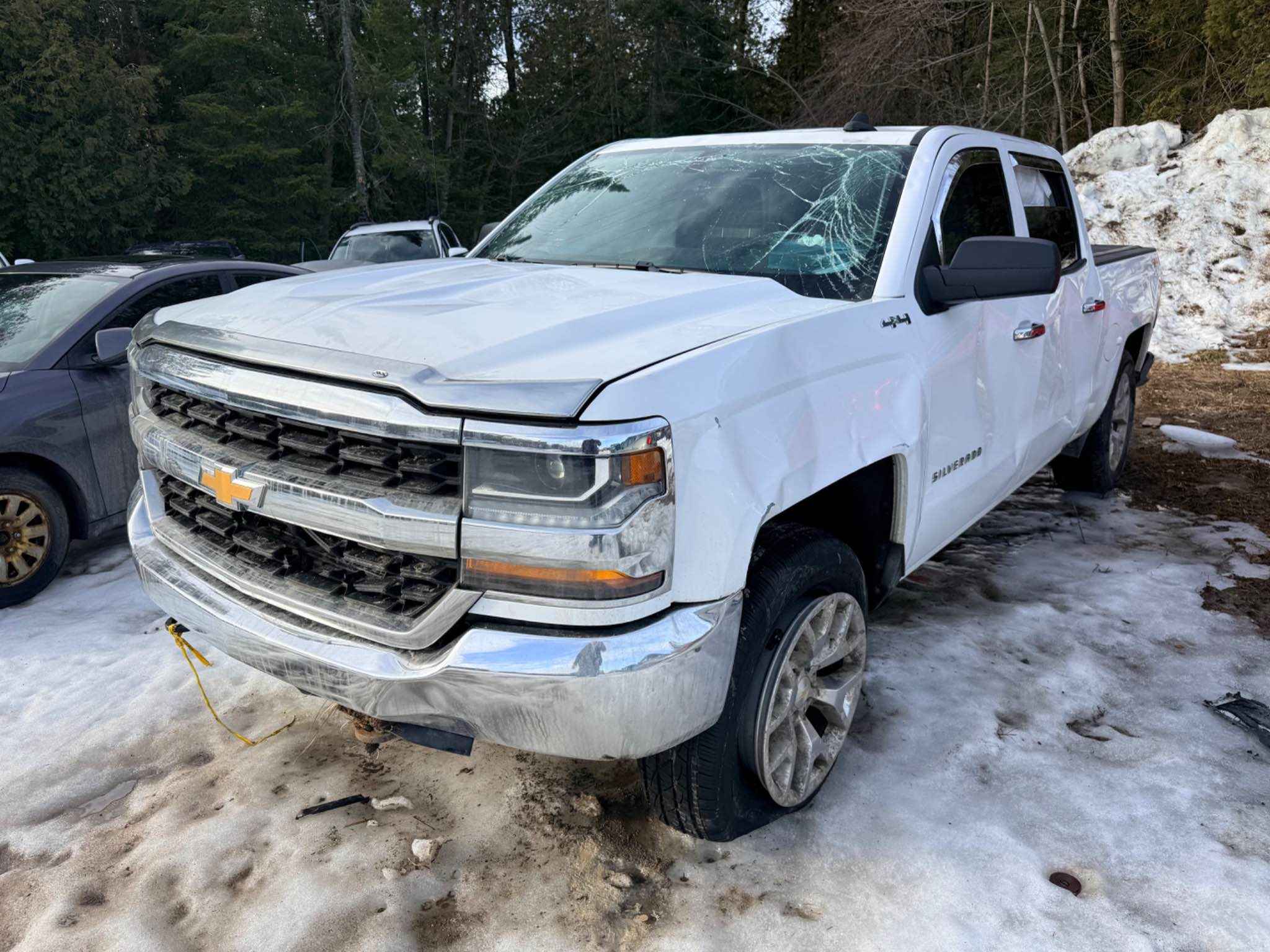 2017 GM Pickup (Chev.)