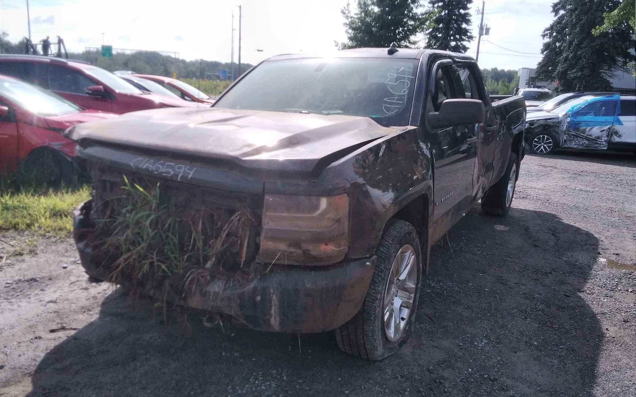 2018 GM Pickup (Chev.)