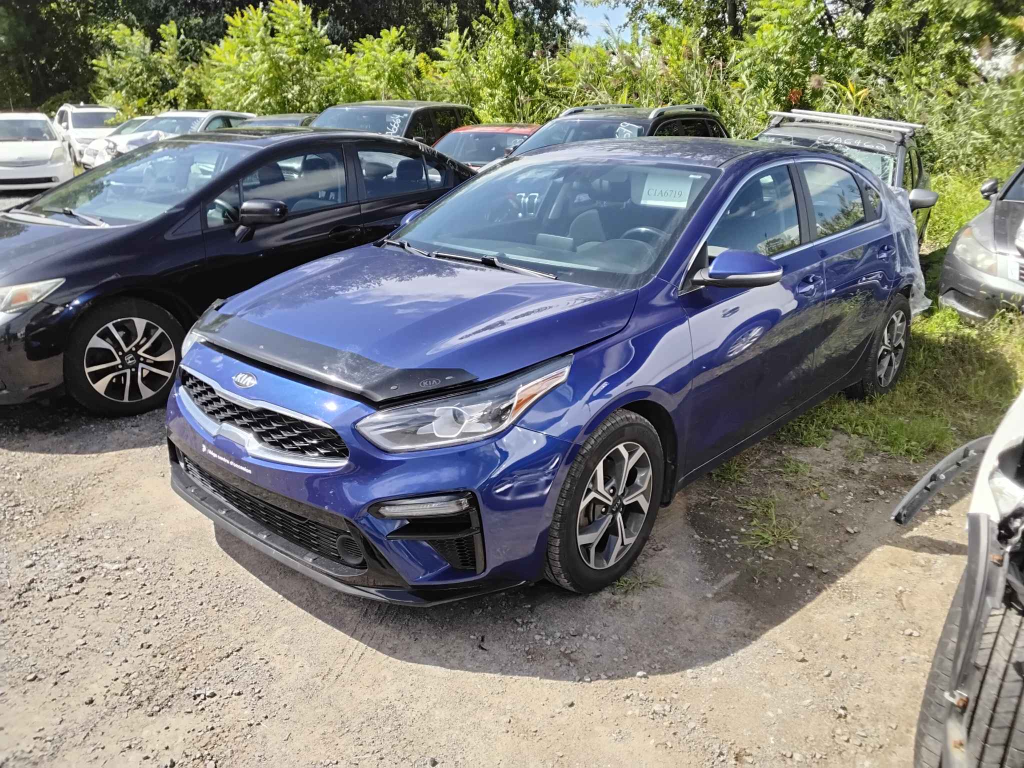 2019 Kia Forte