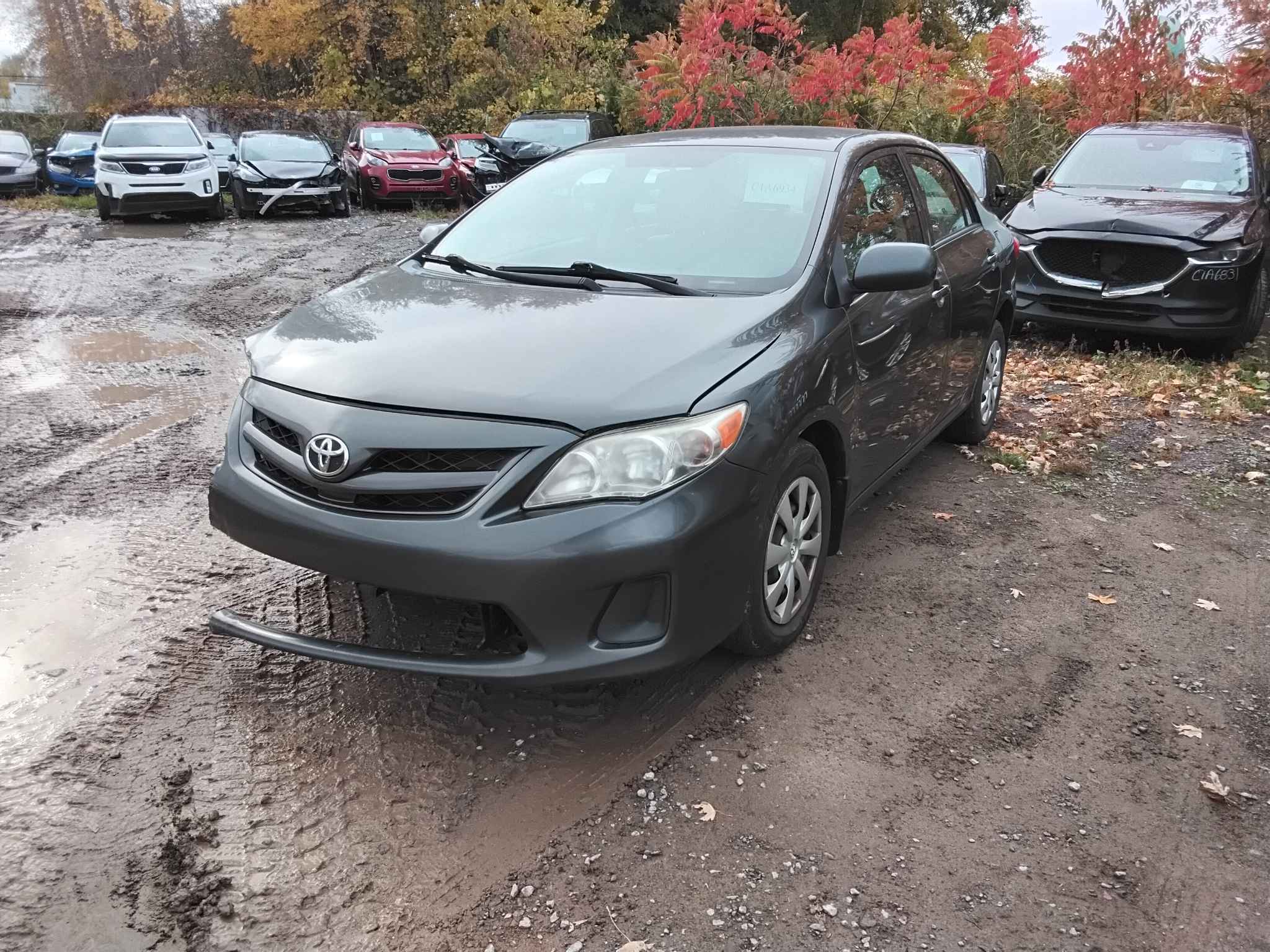 2011 Toyota Corolla