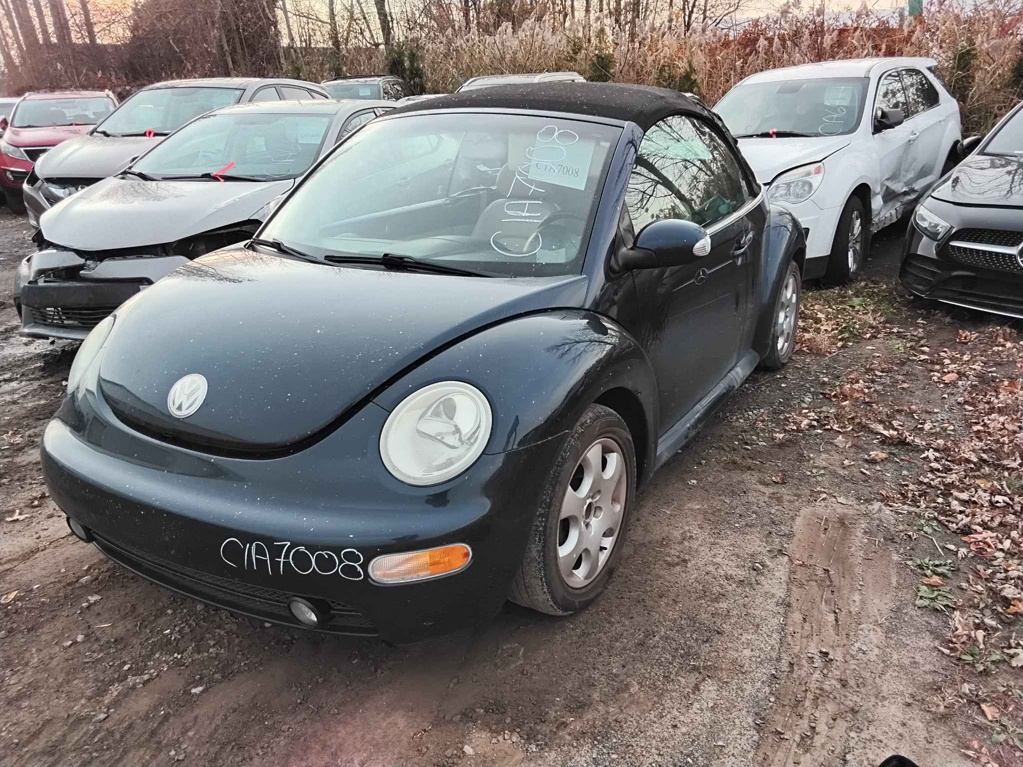 2003 Volkswagen Beetle