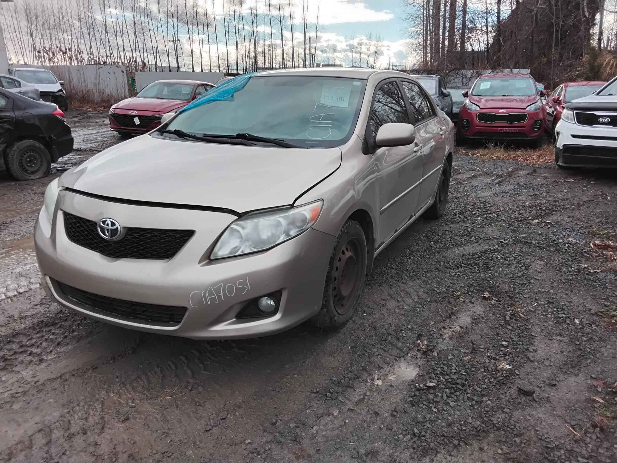 2010 Toyota Corolla