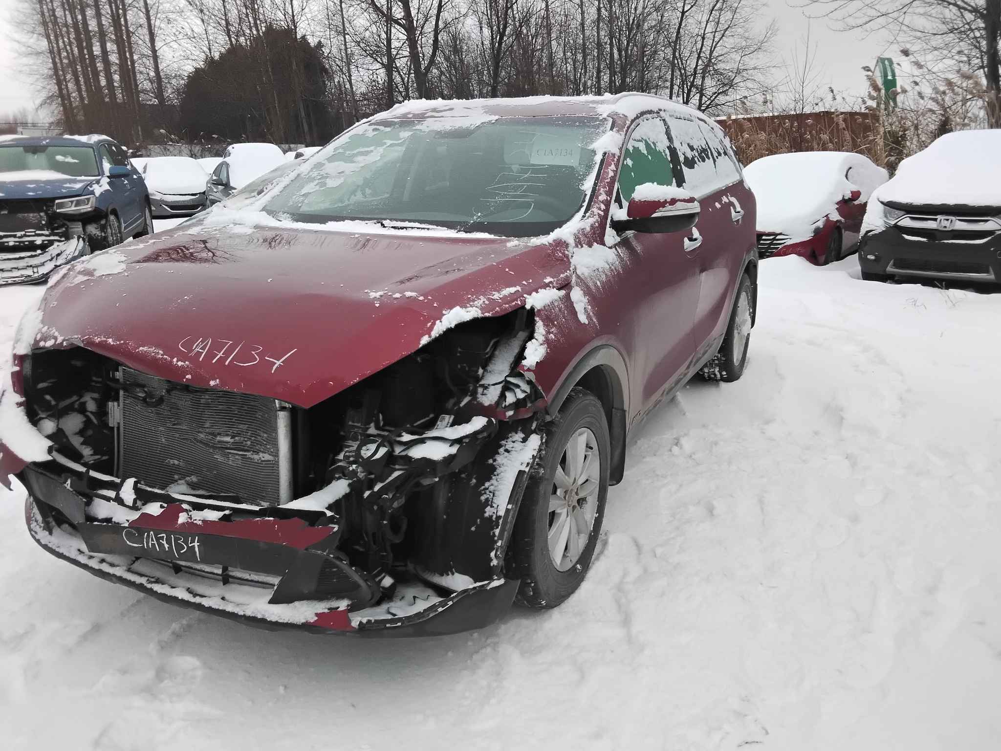 2019 Kia Sorento