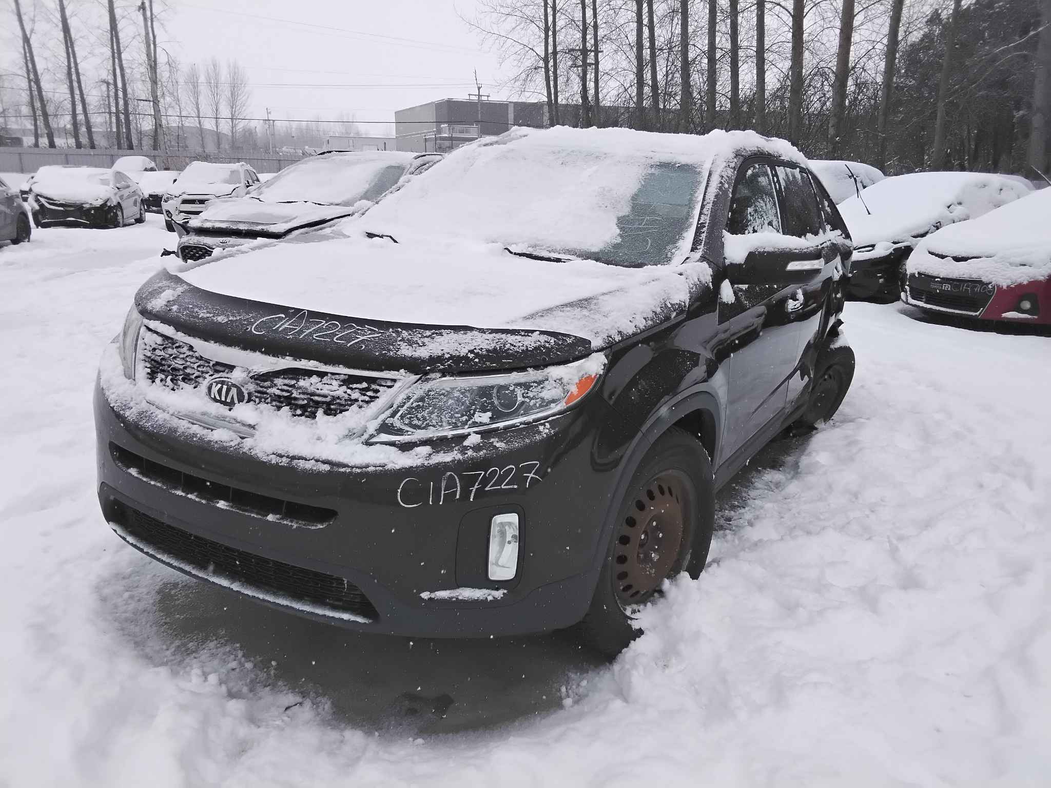 2015 Kia 
