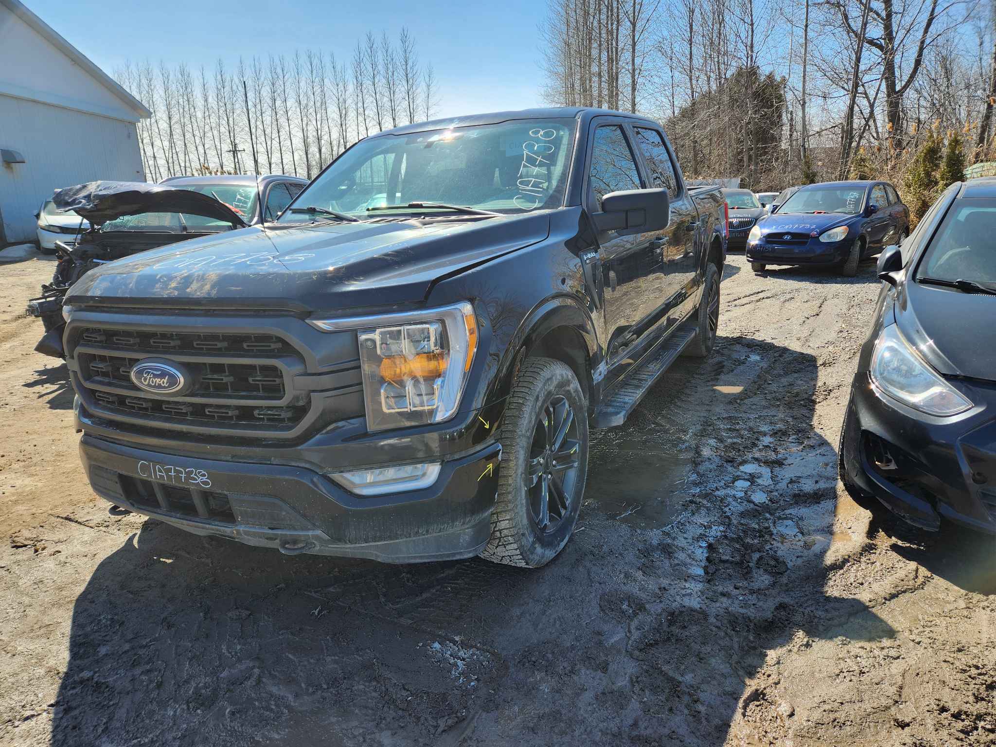 2021 Ford Pickup (Ford)