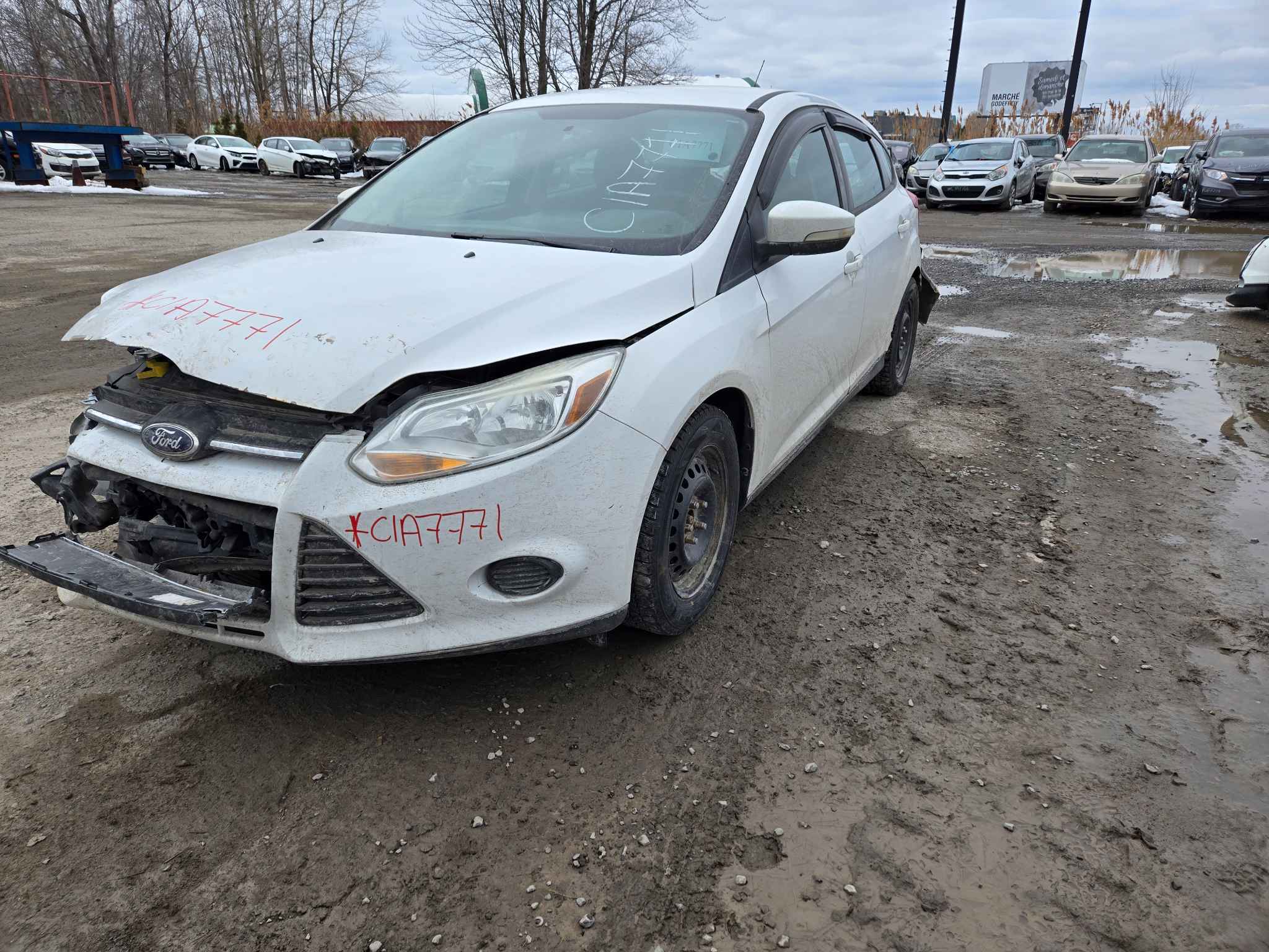 2014 Ford Focus