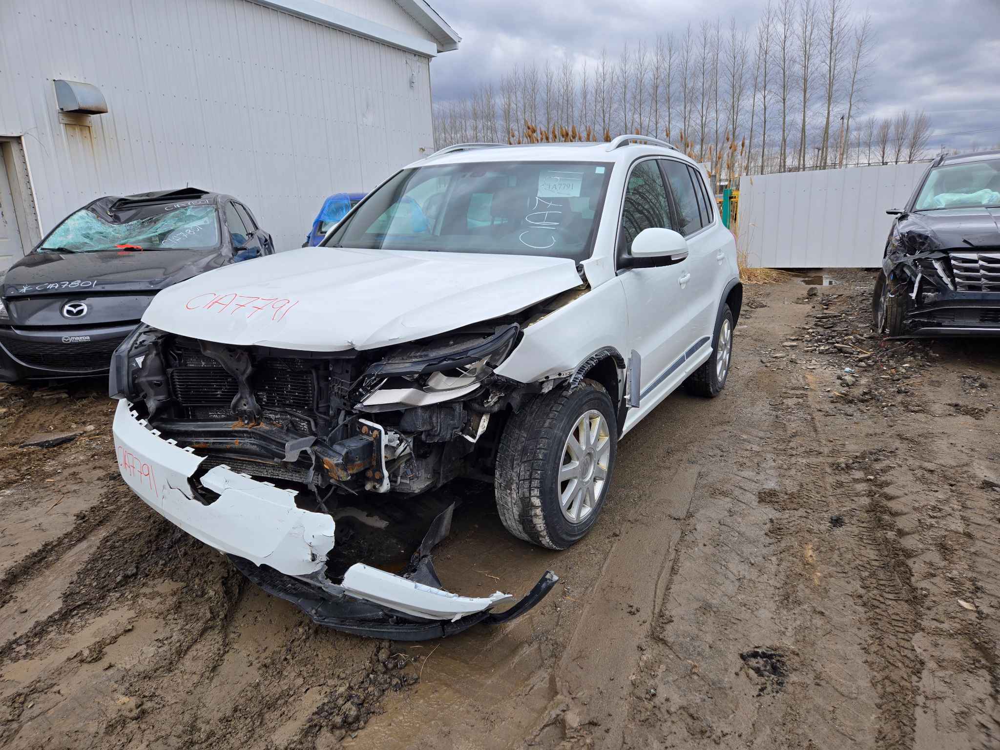 2017 Volkswagen Tiguan