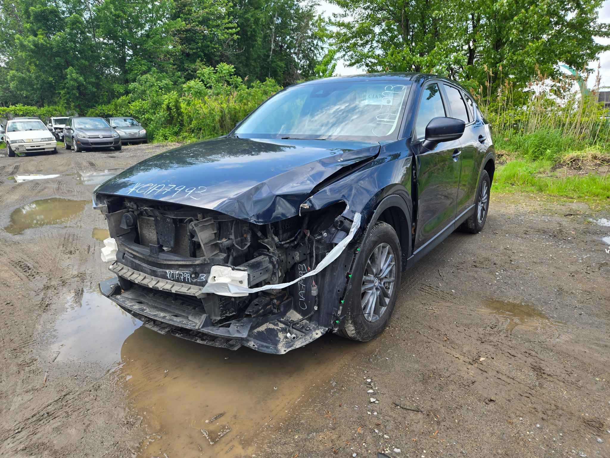 BMW