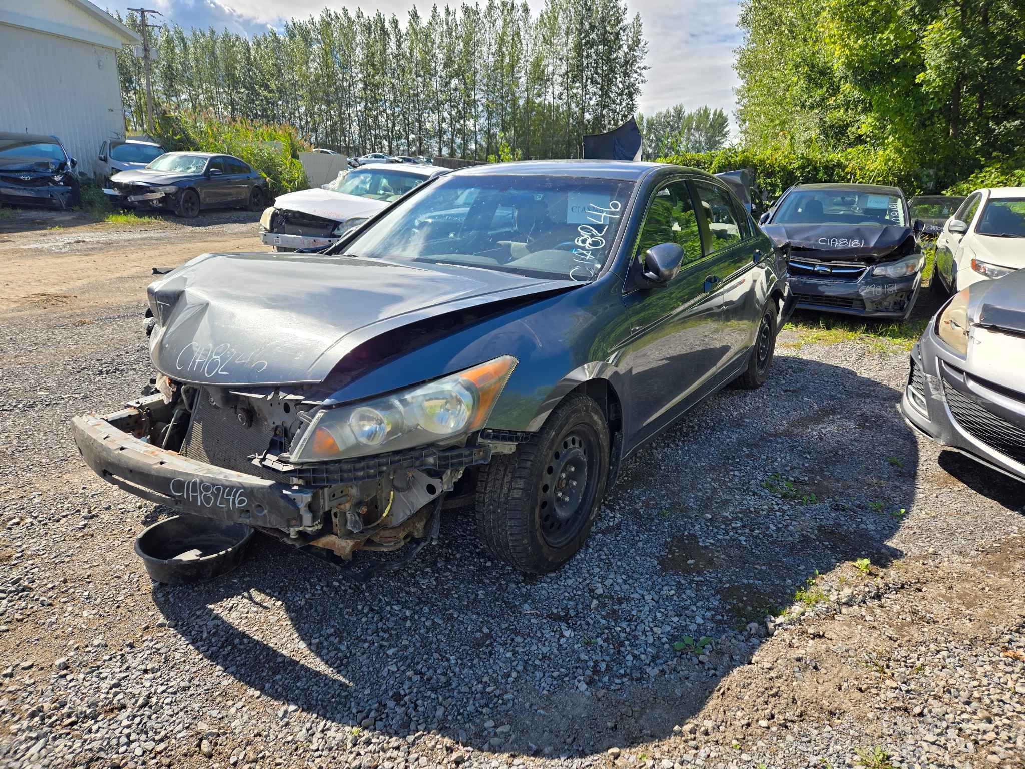 2010 Honda Accord