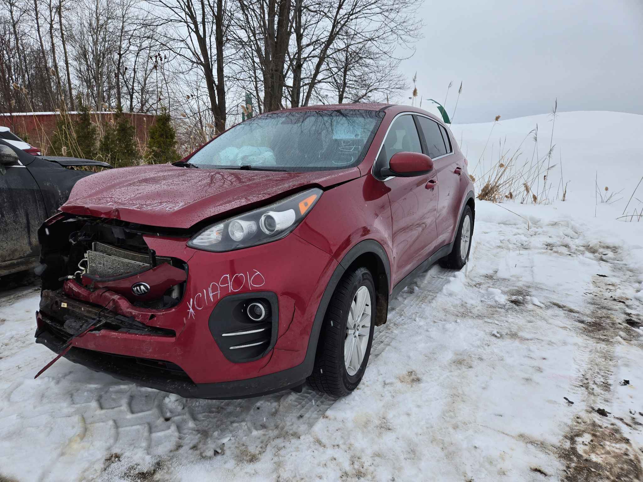 2017 Kia Sportage