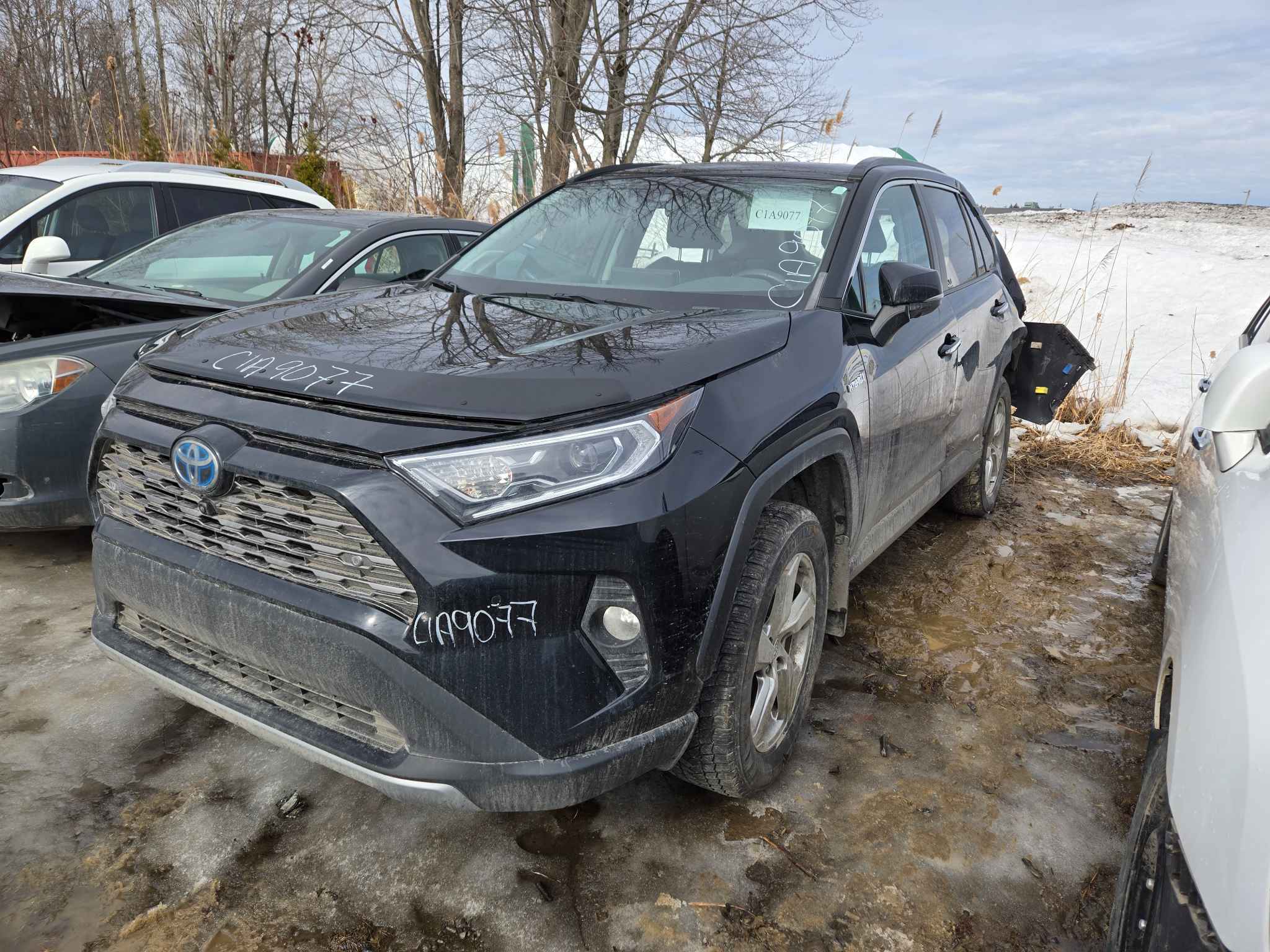 2019 Toyota Rav4