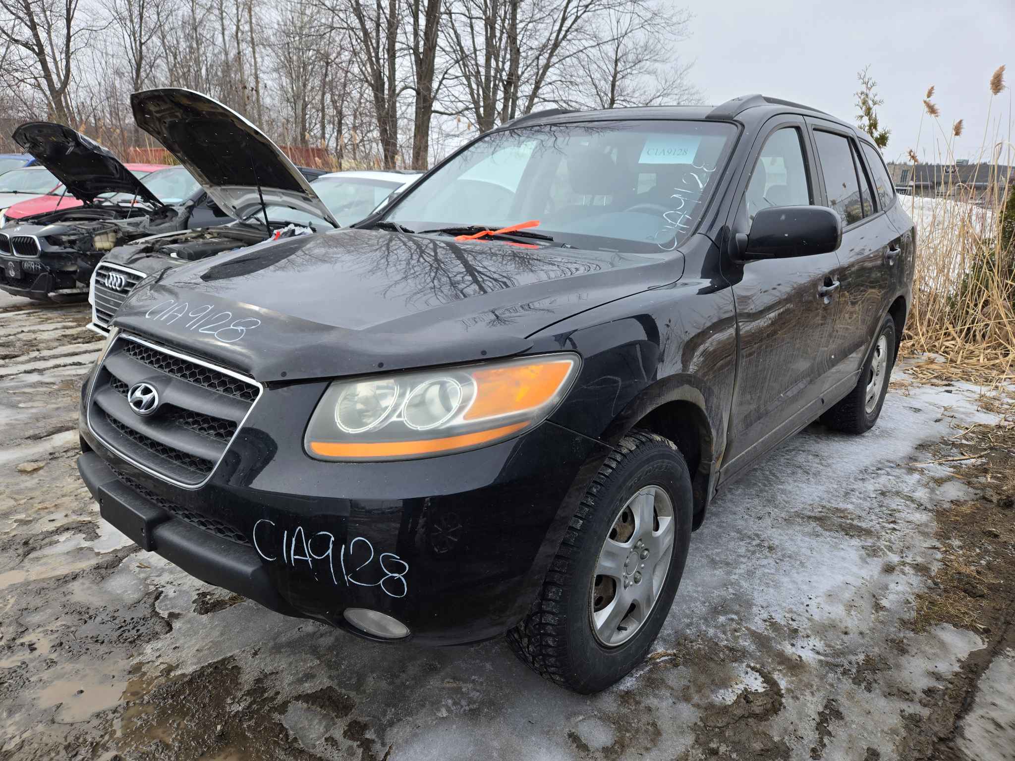2008 Hyundai Santa Fe