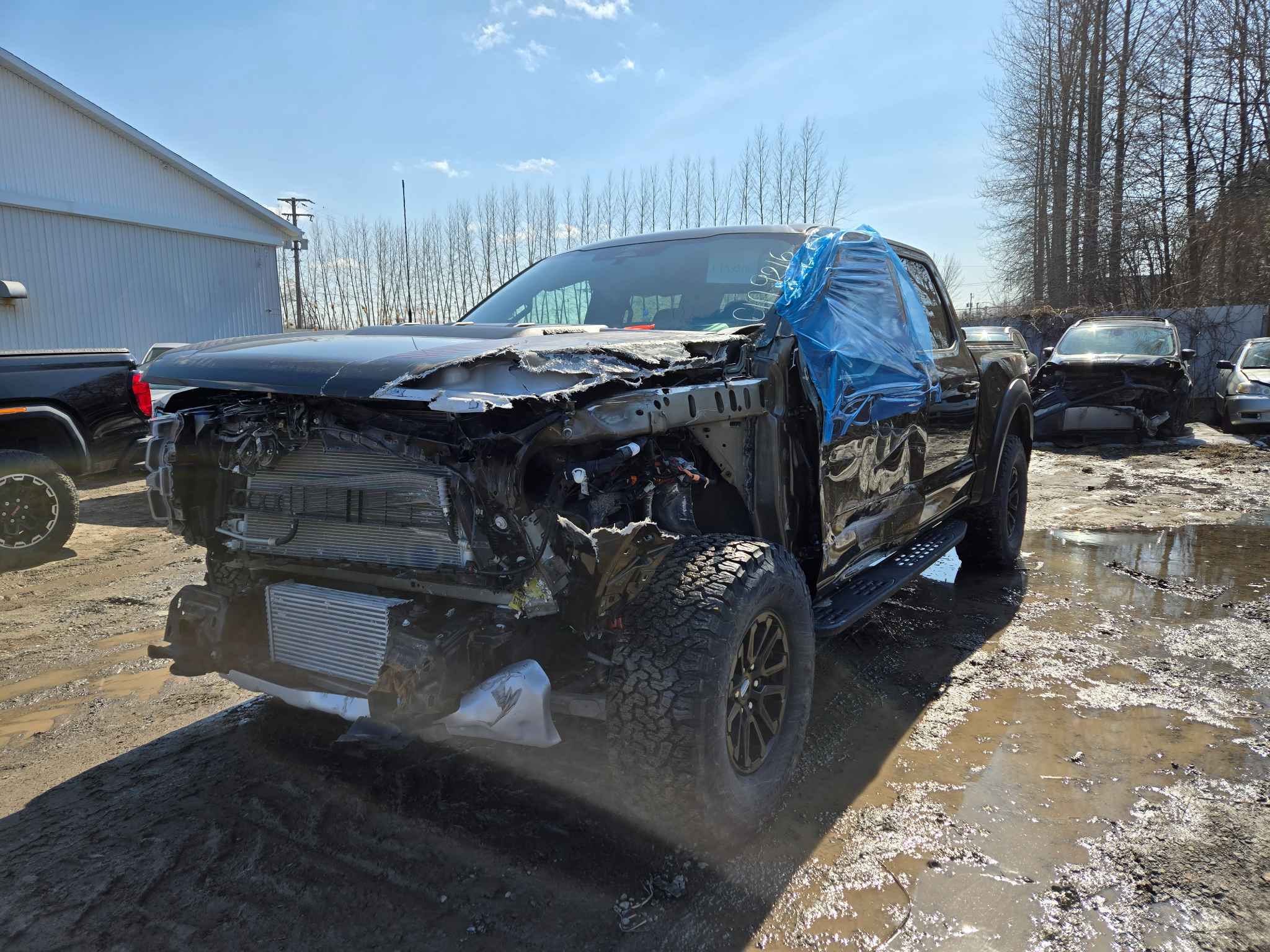 2025 Ford Pickup (Ford)