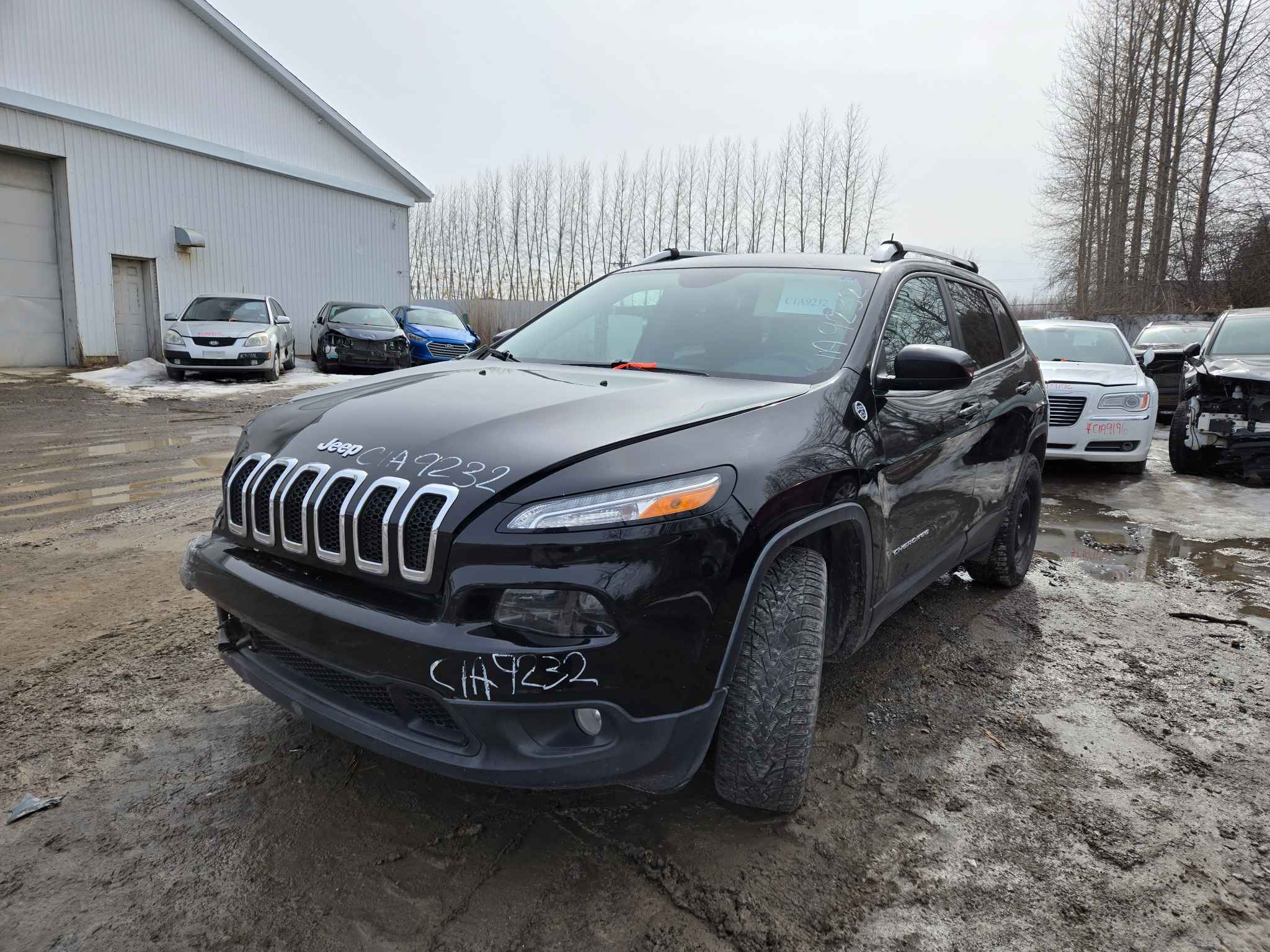 2017 Jeep Cherokee (All)