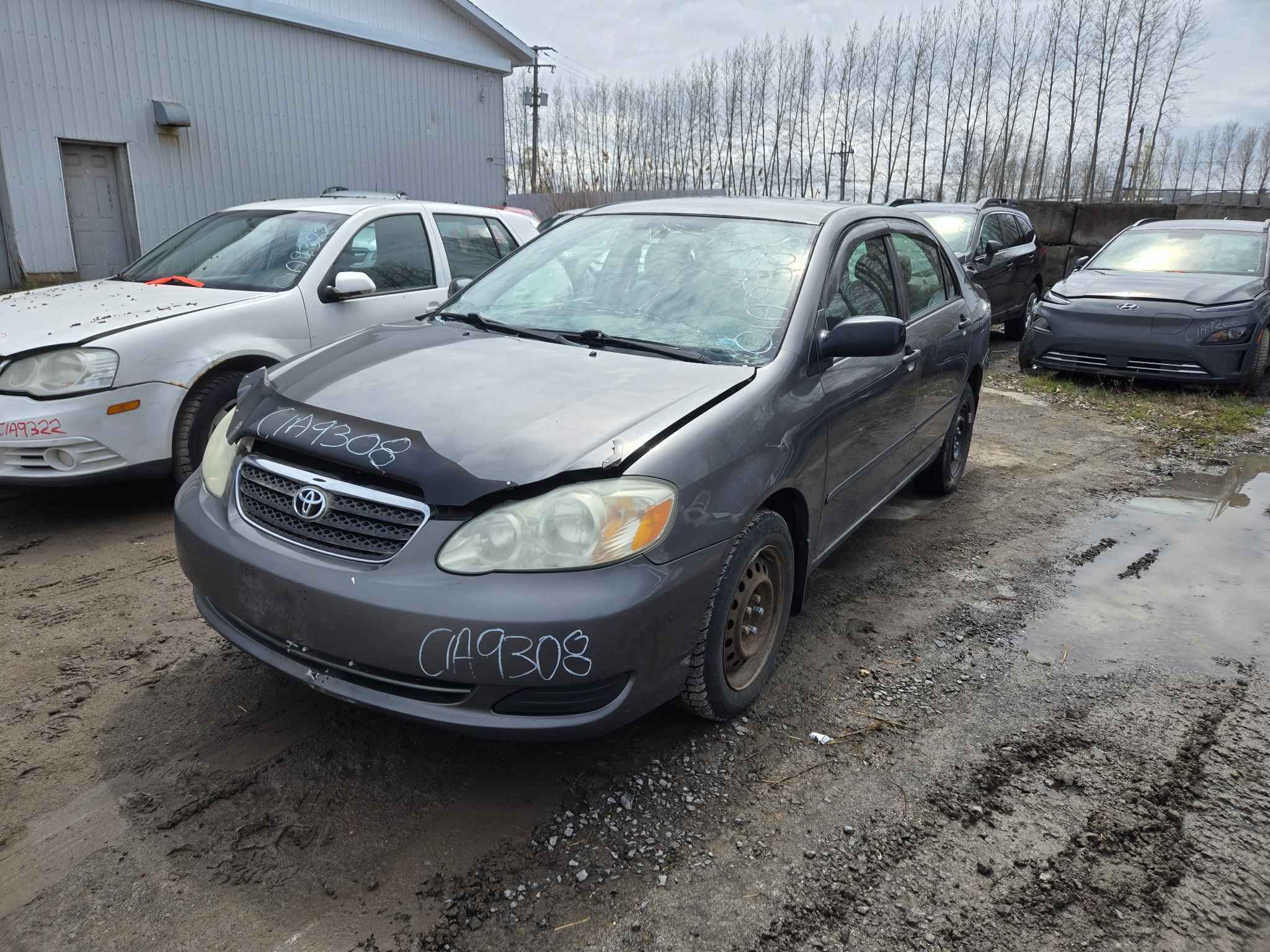 2005 Toyota Corolla