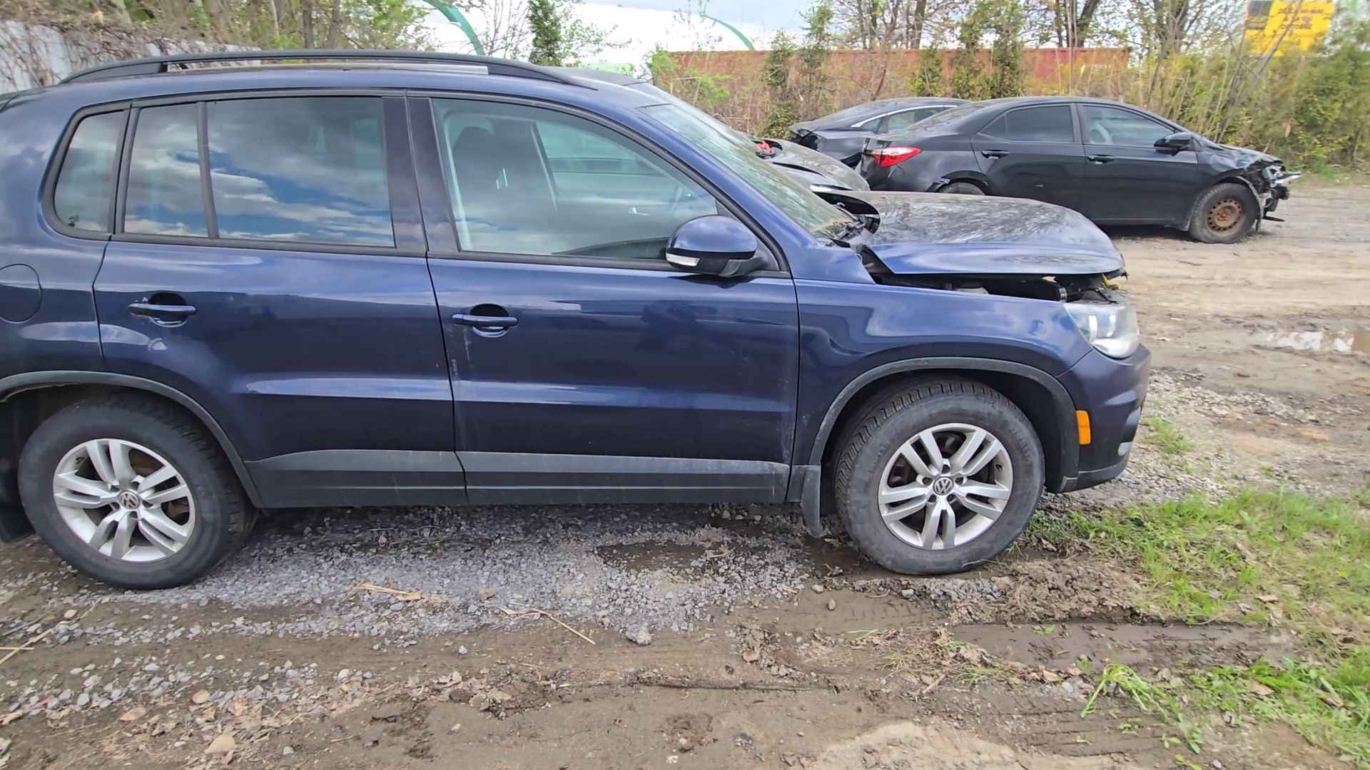 2014 Volkswagen Tiguan
