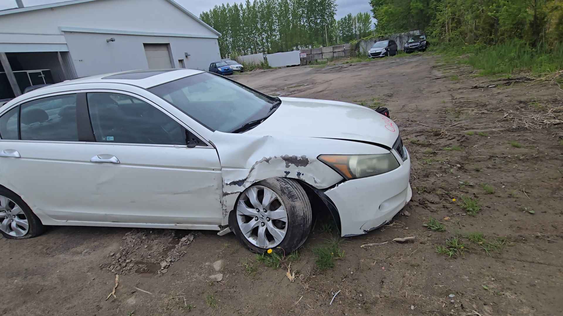 2008 Honda Accord