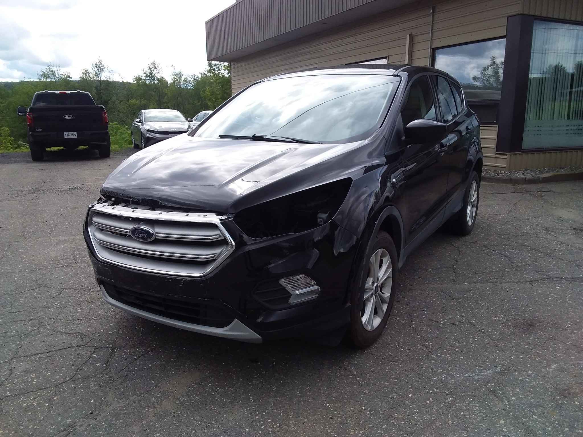 2019 Ford Escape