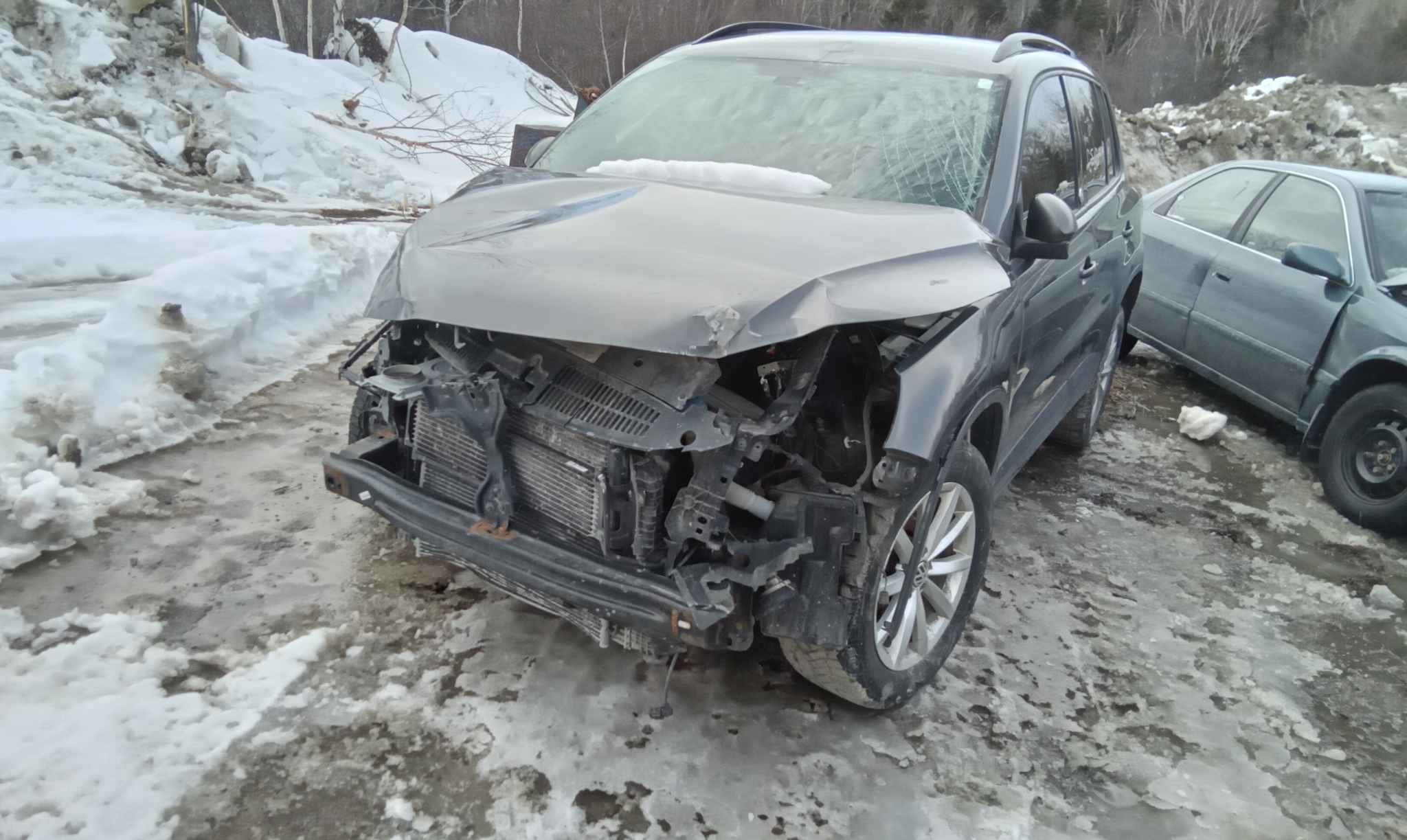 2017 Volkswagen Tiguan