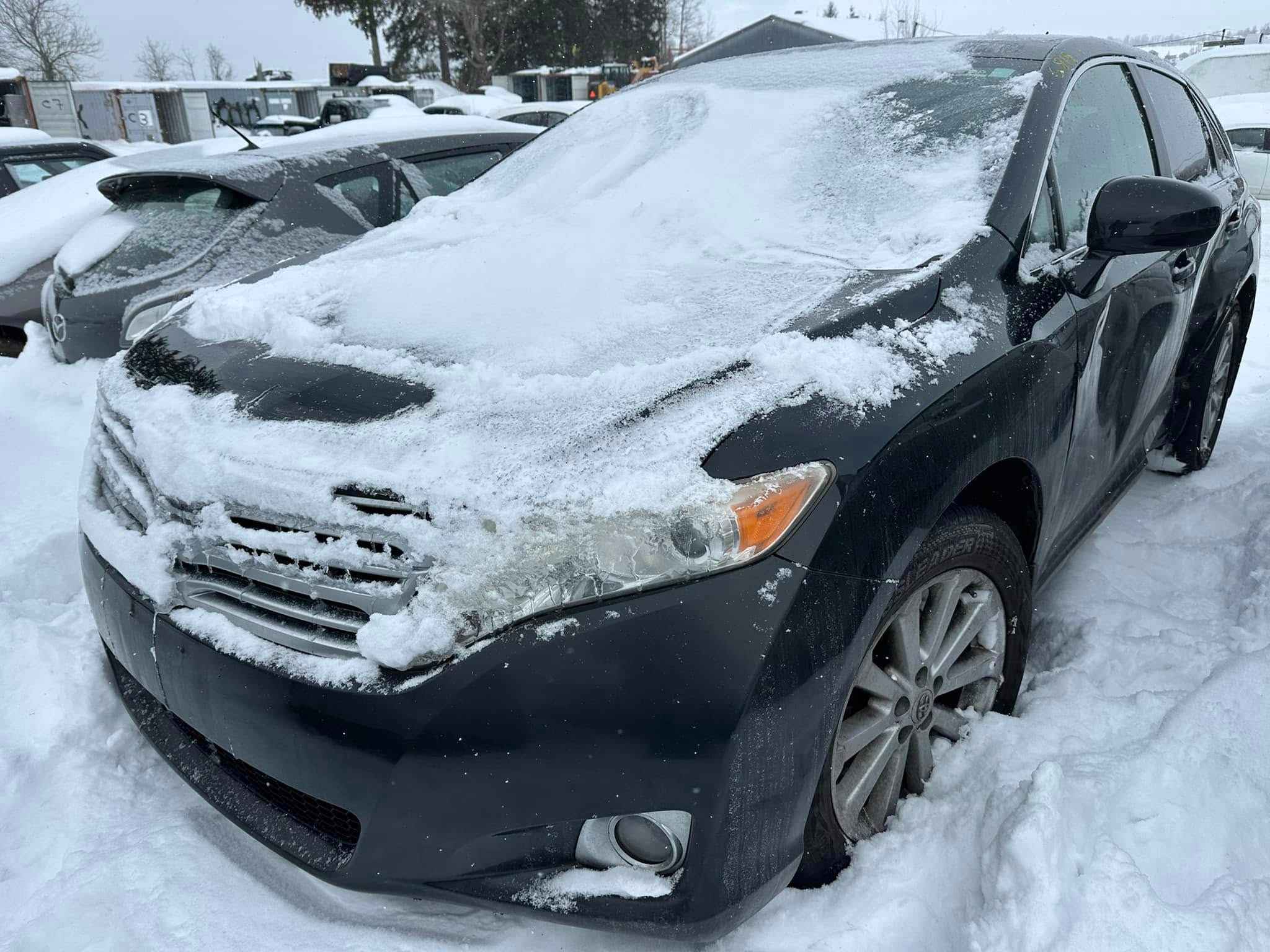 2010 Toyota Venza