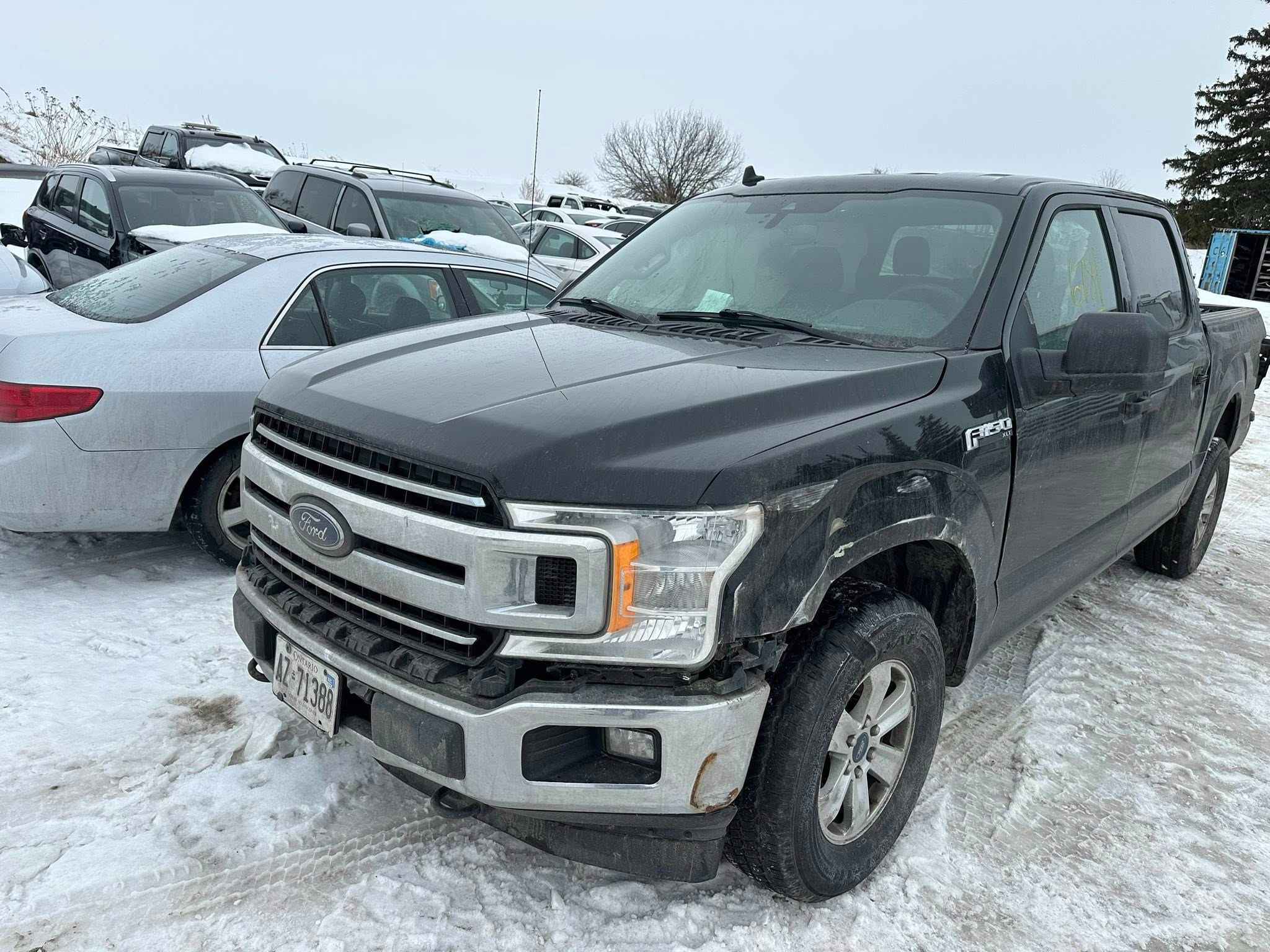 2019 Ford Pickup (Ford)