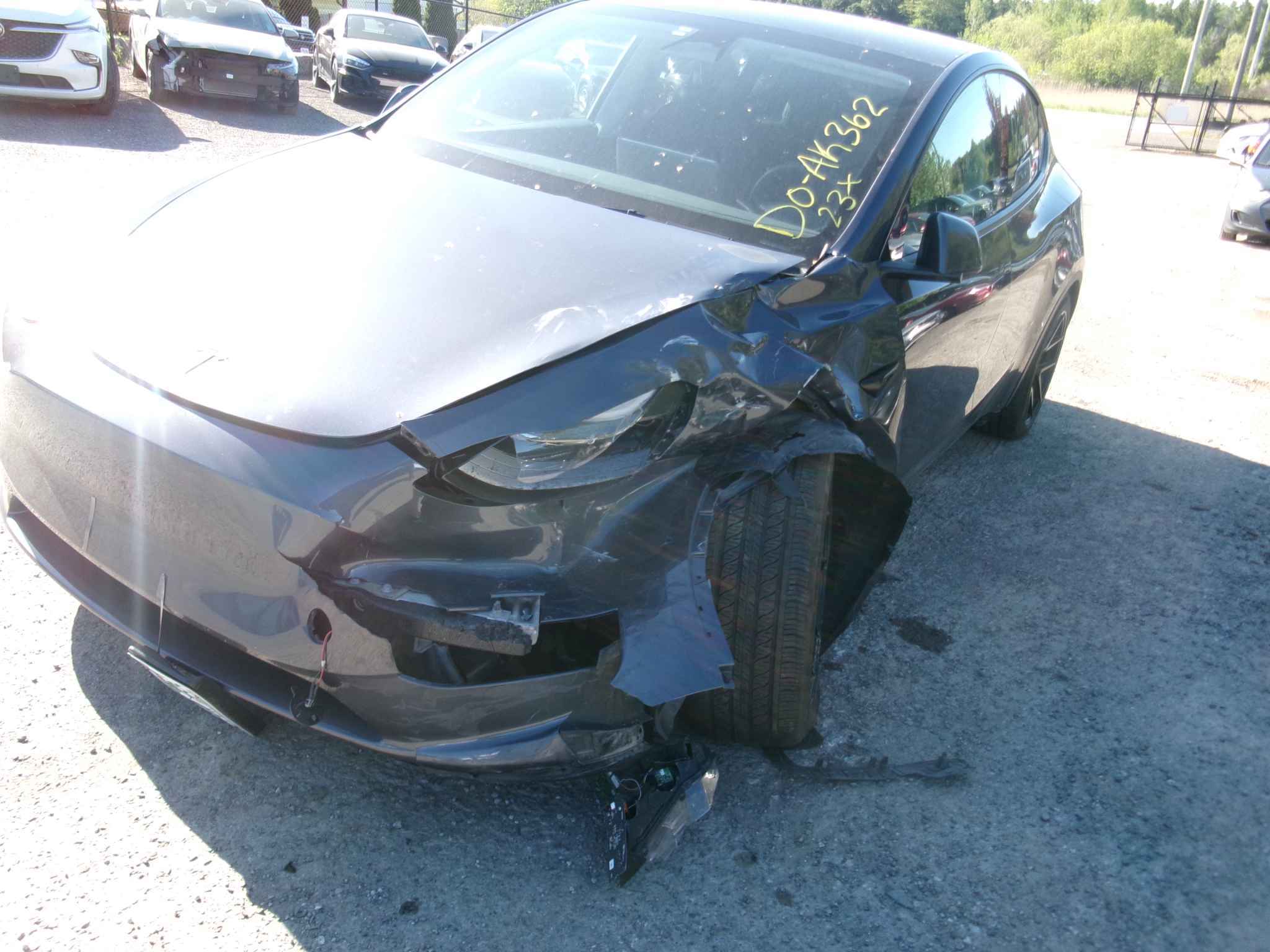 2023 Tesla Tesla Y