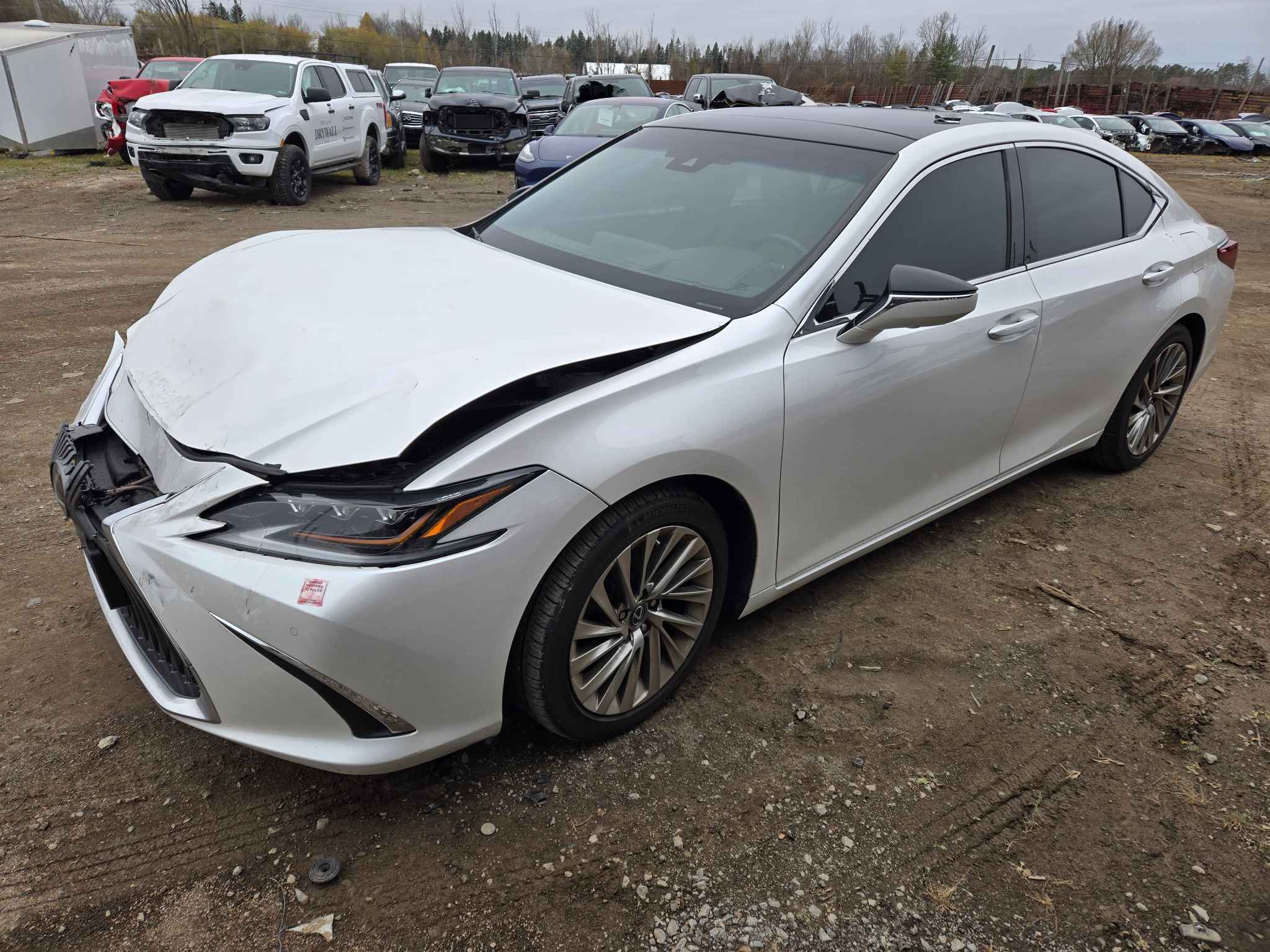 2019 Lexus Lexus Es