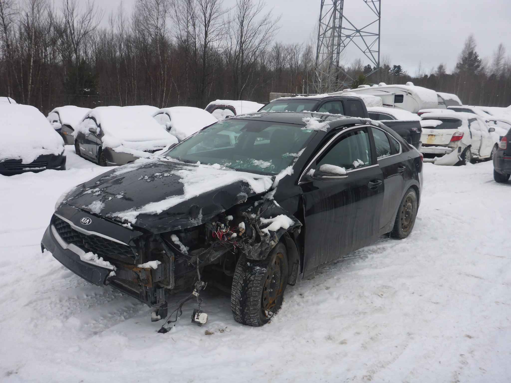 2019 Kia Forte