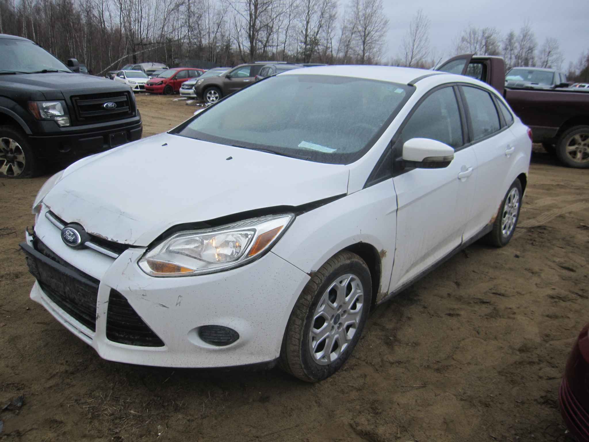 2013 Ford Focus
