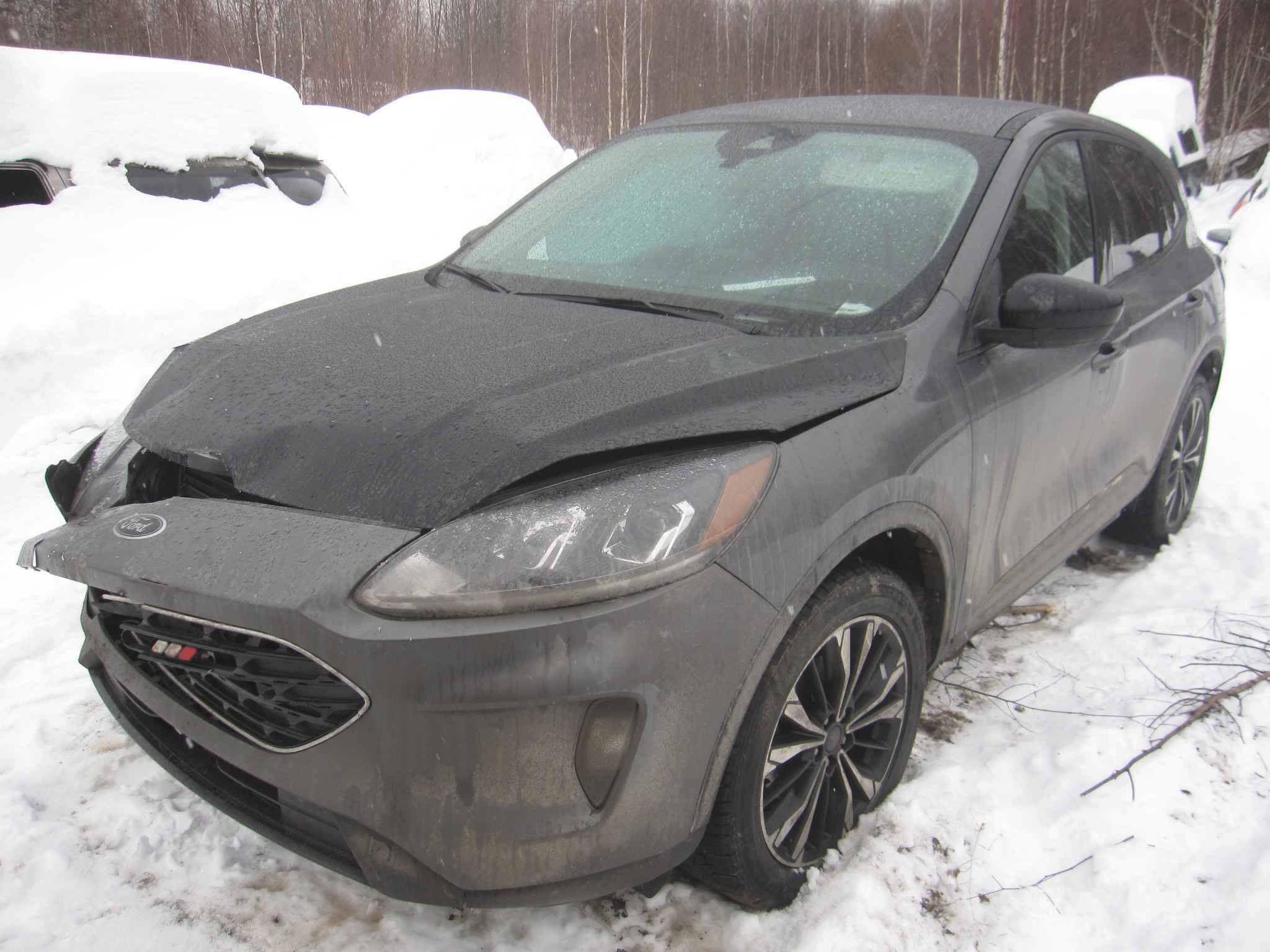 2022 Ford Escape