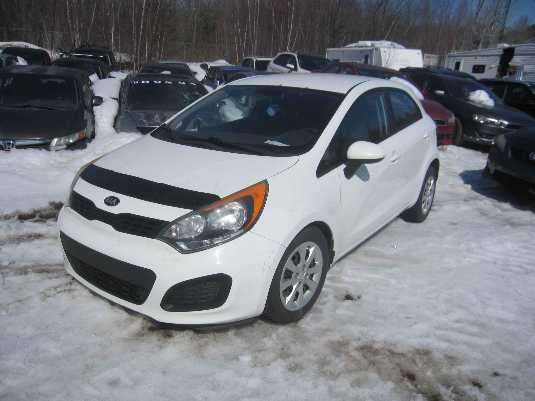 2014 Kia Rio