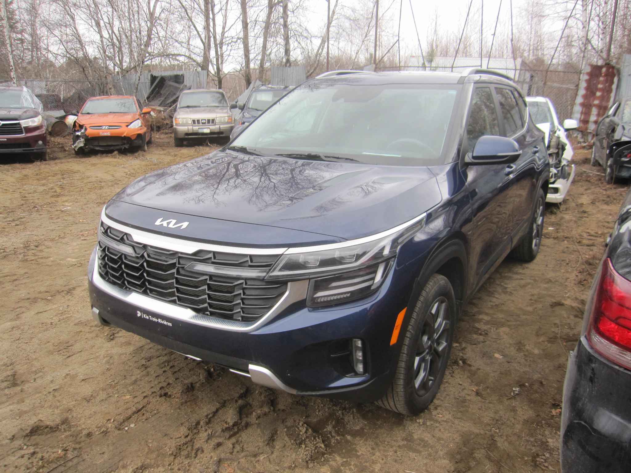 2024 Kia Seltos