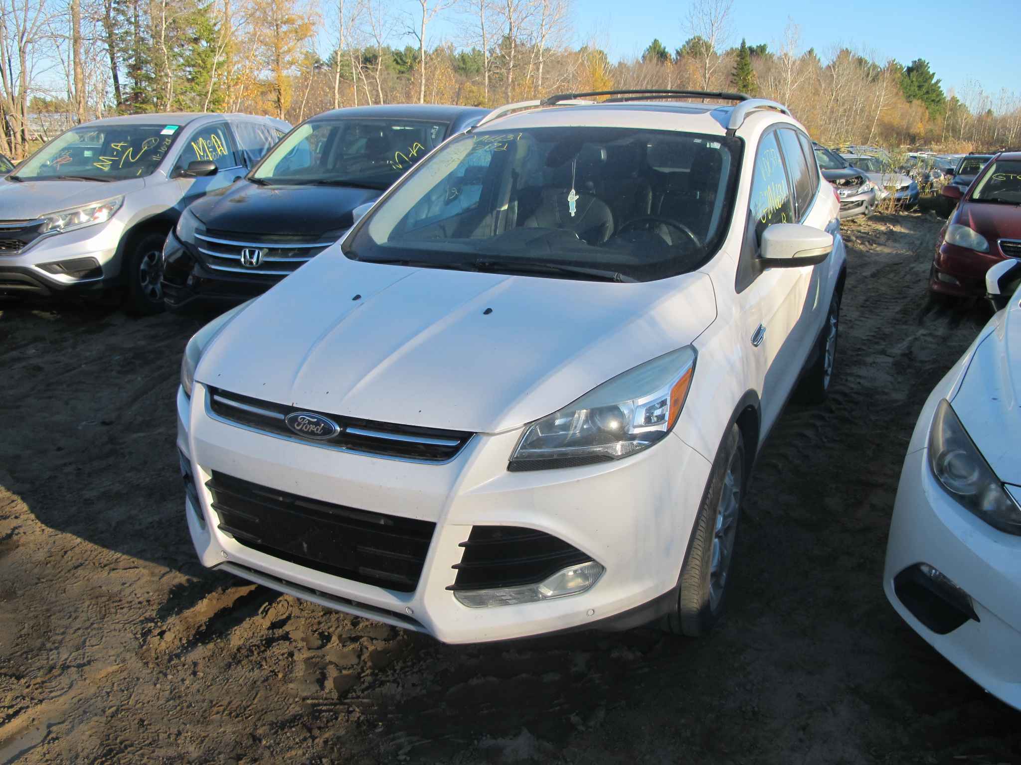 2013 Ford Escape