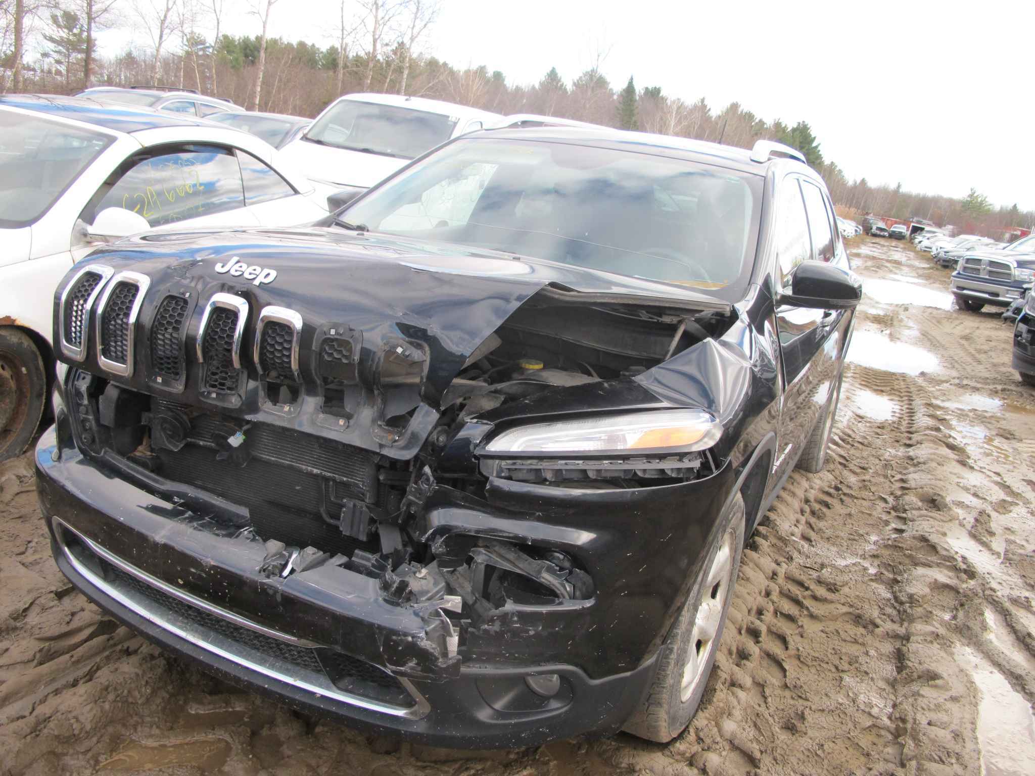 2014 Jeep Cherokee (All)