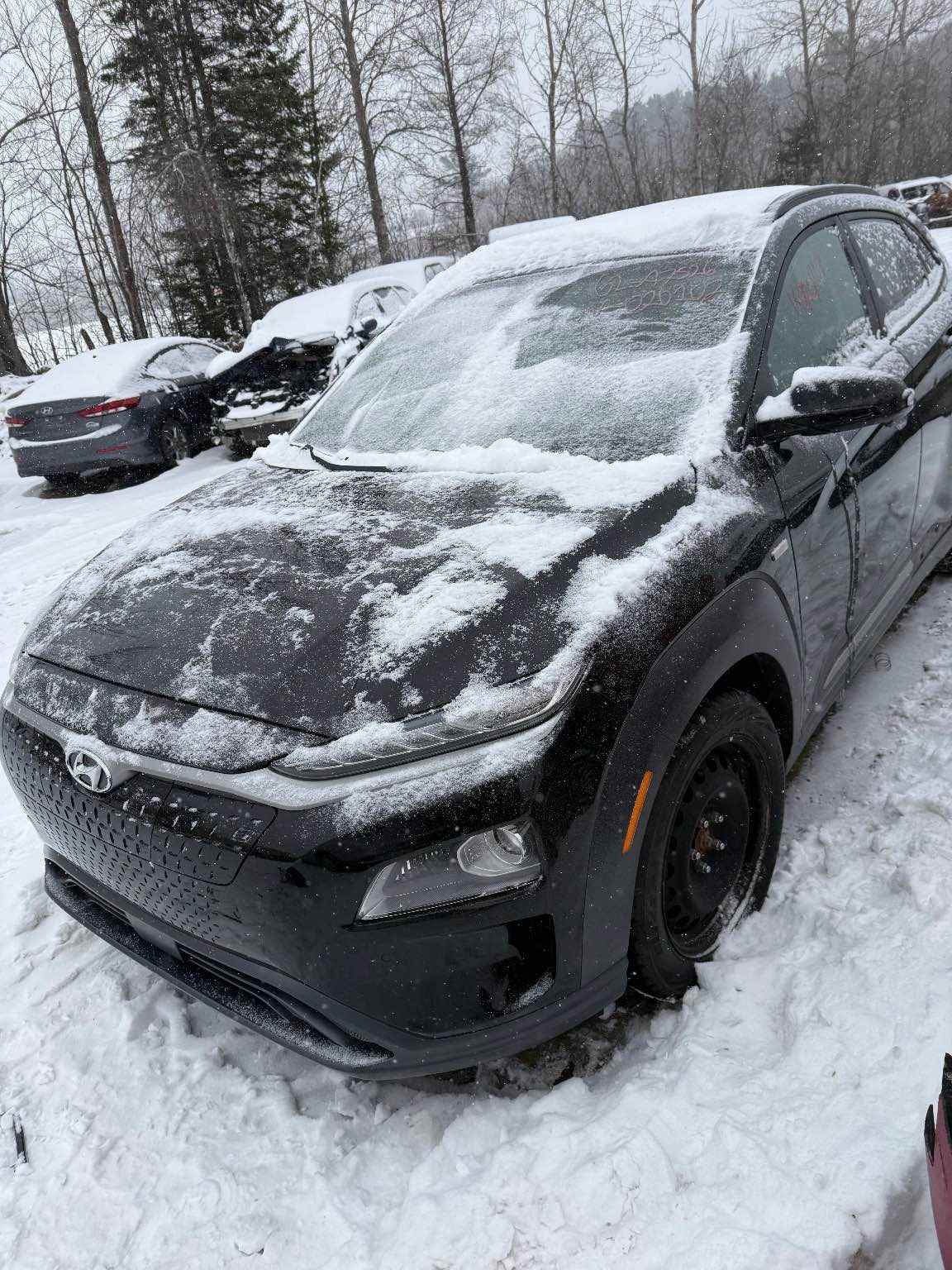 2019 Hyundai Kona