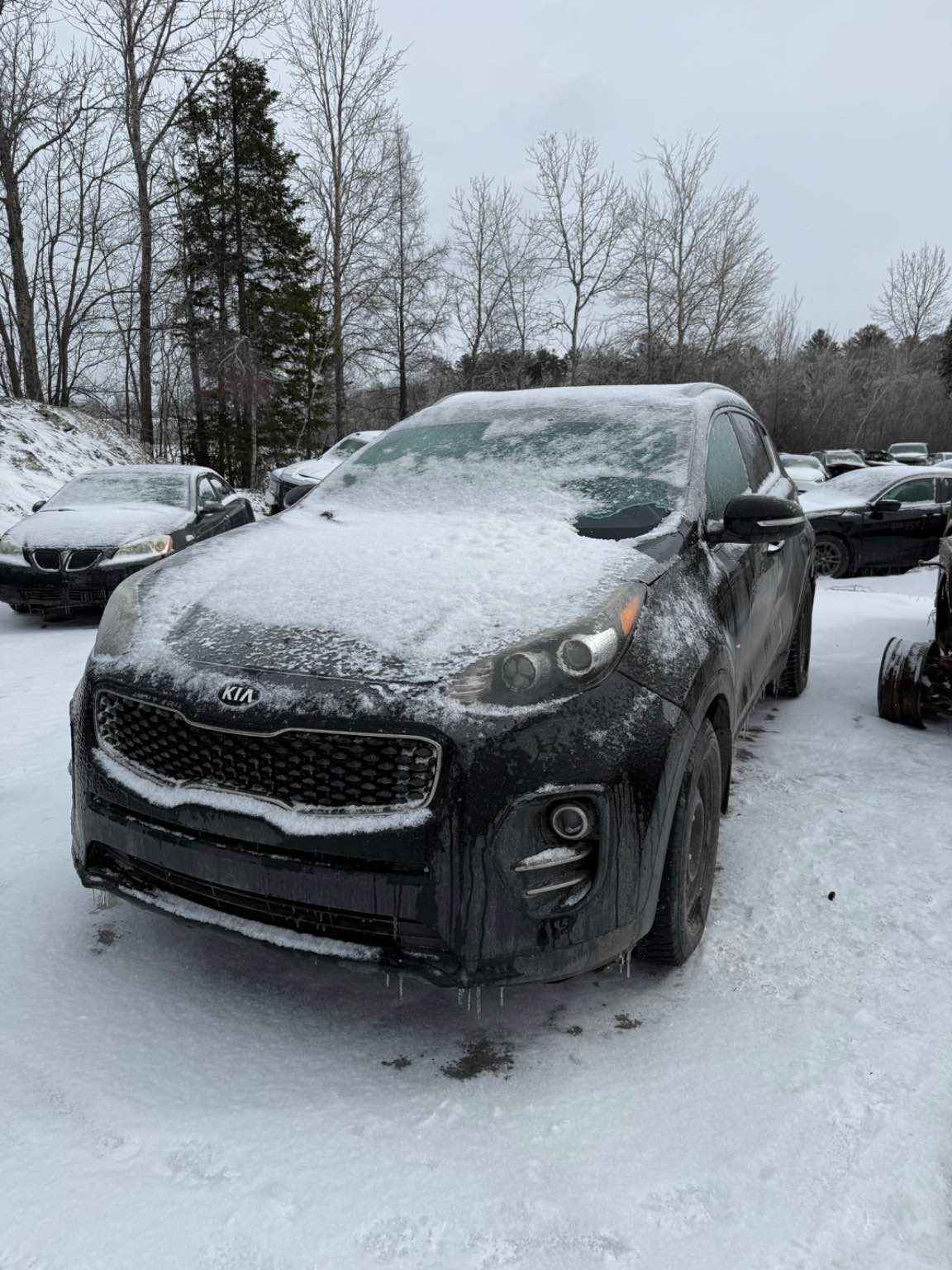 2017 Kia Sportage
